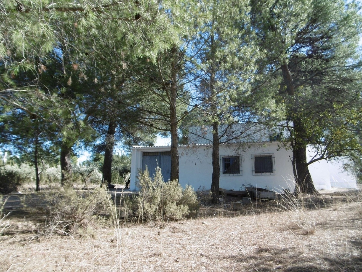  for sale country house Yecla Altiplano 5