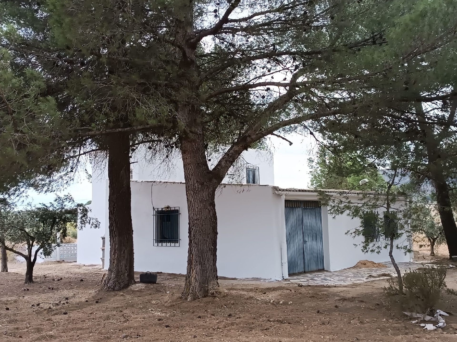  for sale country house Yecla Altiplano 4