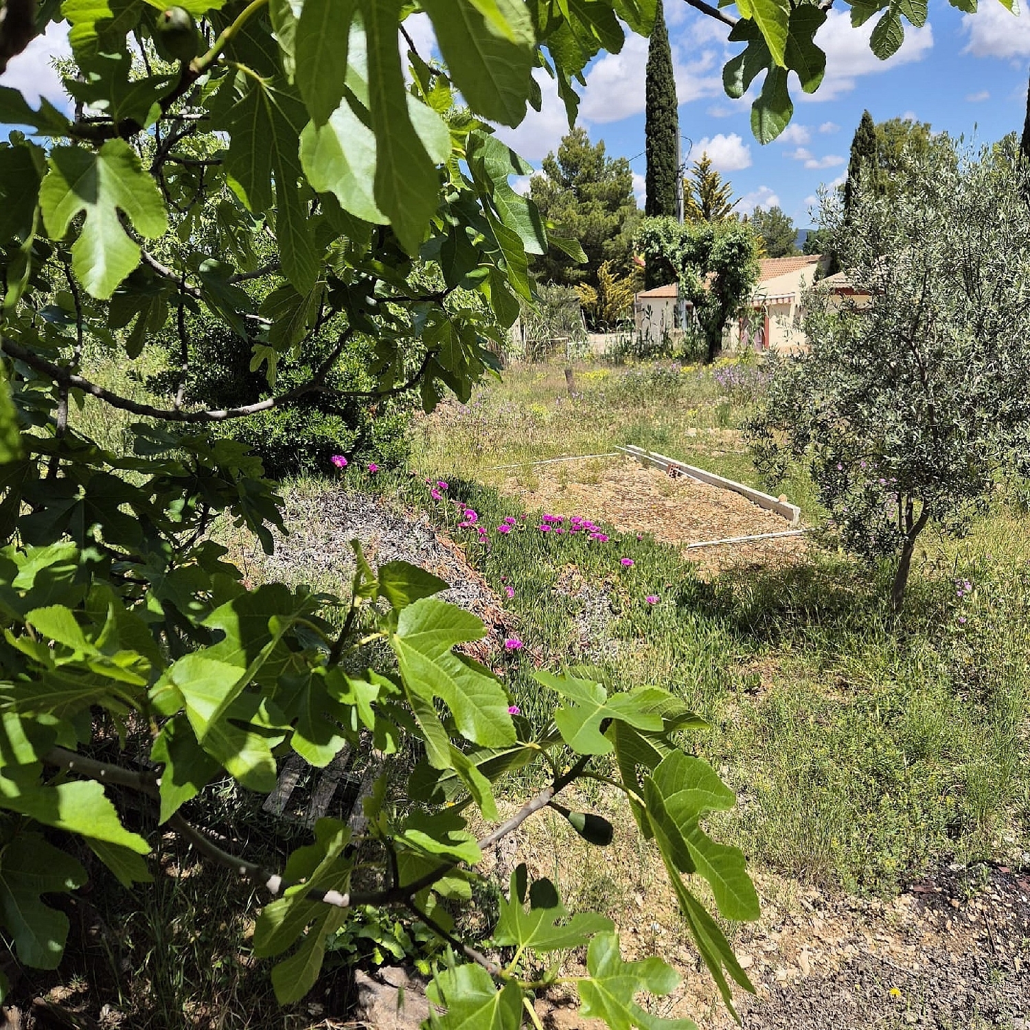  te koop boerderij Yecla Altiplano 15