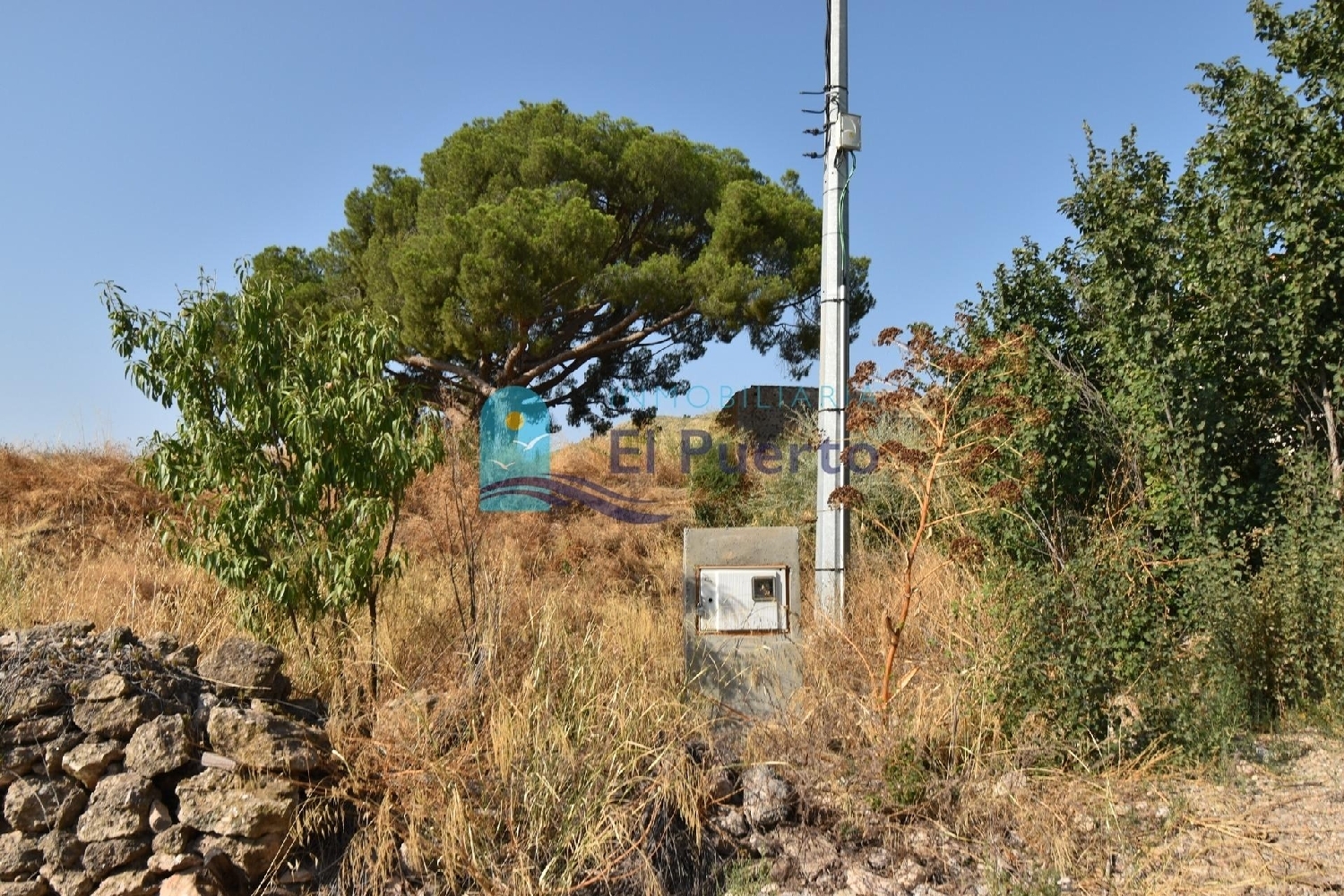 en venta finca rústica Zarzadilla De Totana Alto Guadalentín 3