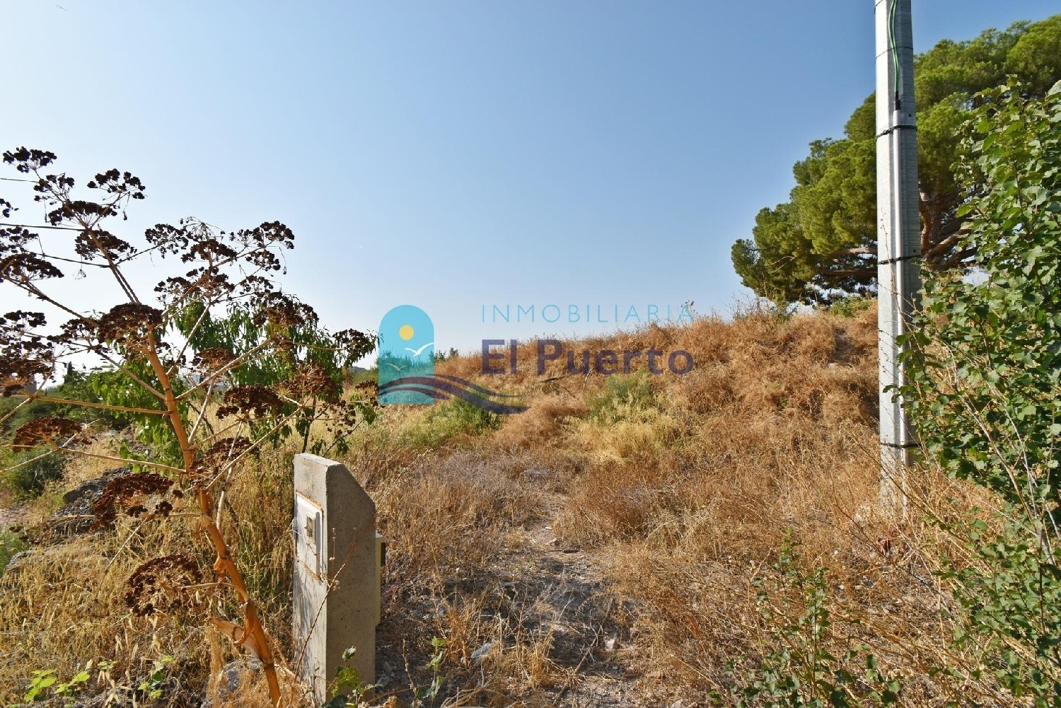  en venta finca rústica Zarzadilla De Totana Alto Guadalentín 4