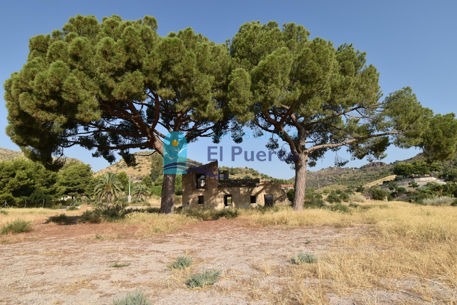 en venta finca rústica Zarzadilla De Totana Alto Guadalentín 2
