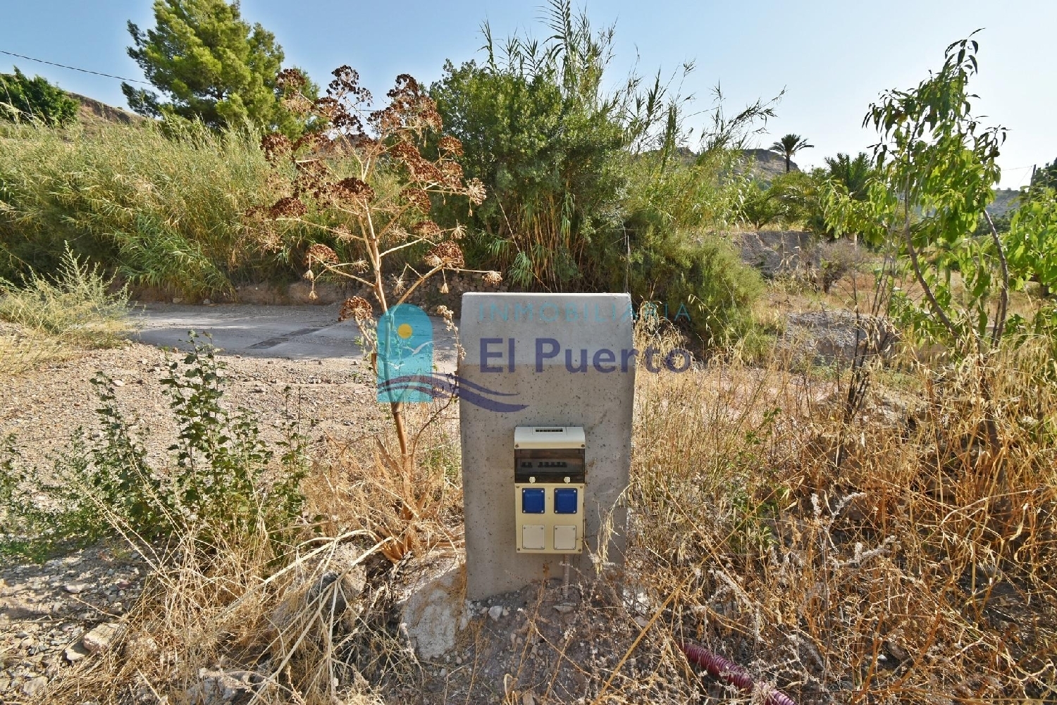  en venta finca rústica Zarzadilla De Totana Alto Guadalentín 5