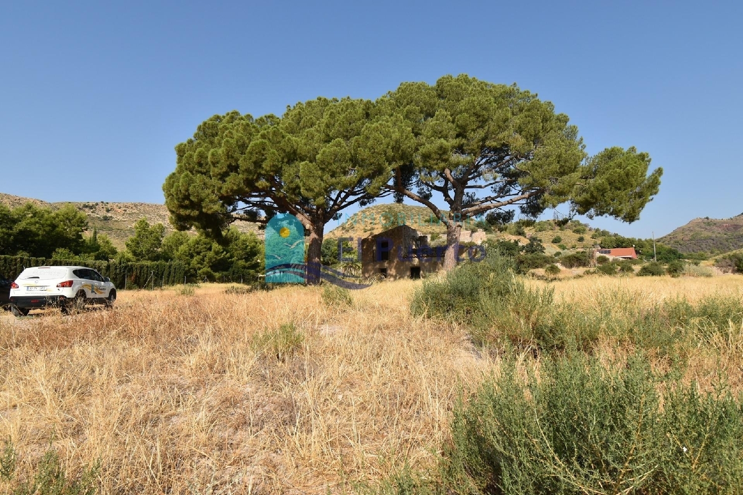  en venta finca rústica Zarzadilla De Totana Alto Guadalentín 7