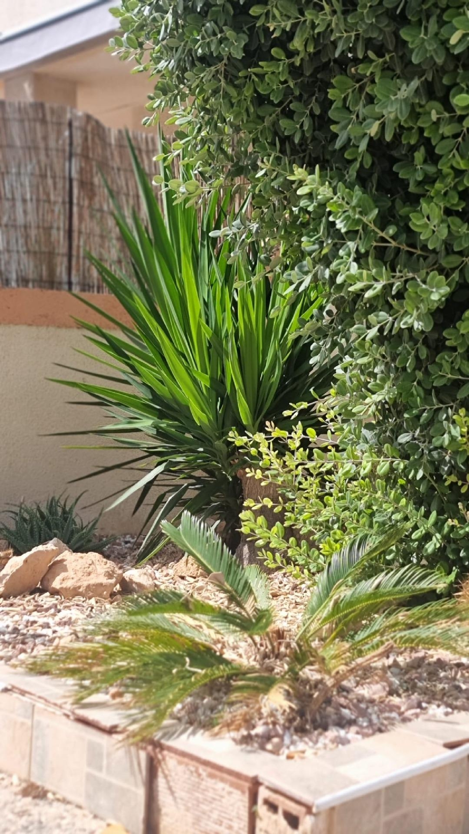  kaufen Maisonette Torrevieja Baix Segura 6
