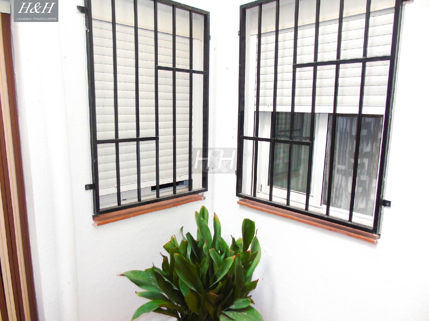  for sale ground floor Burjassot Horta Nord 6