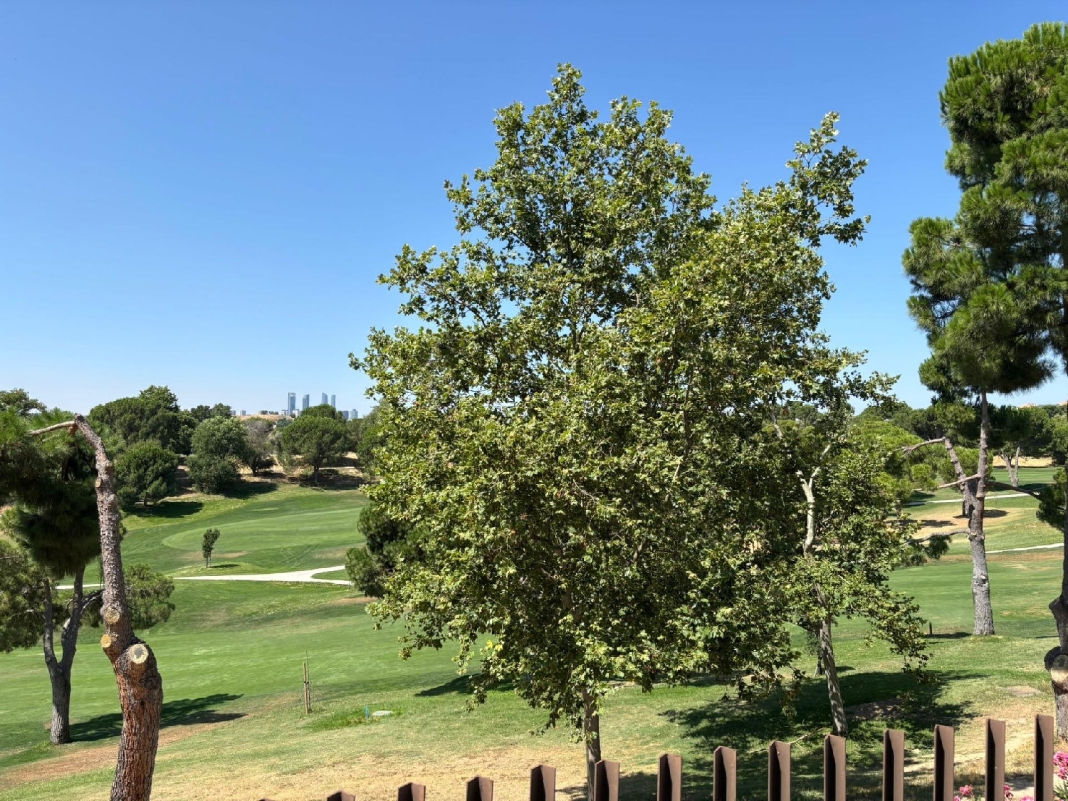  en venta planta baja Madrid Valle Del Almanzora 8