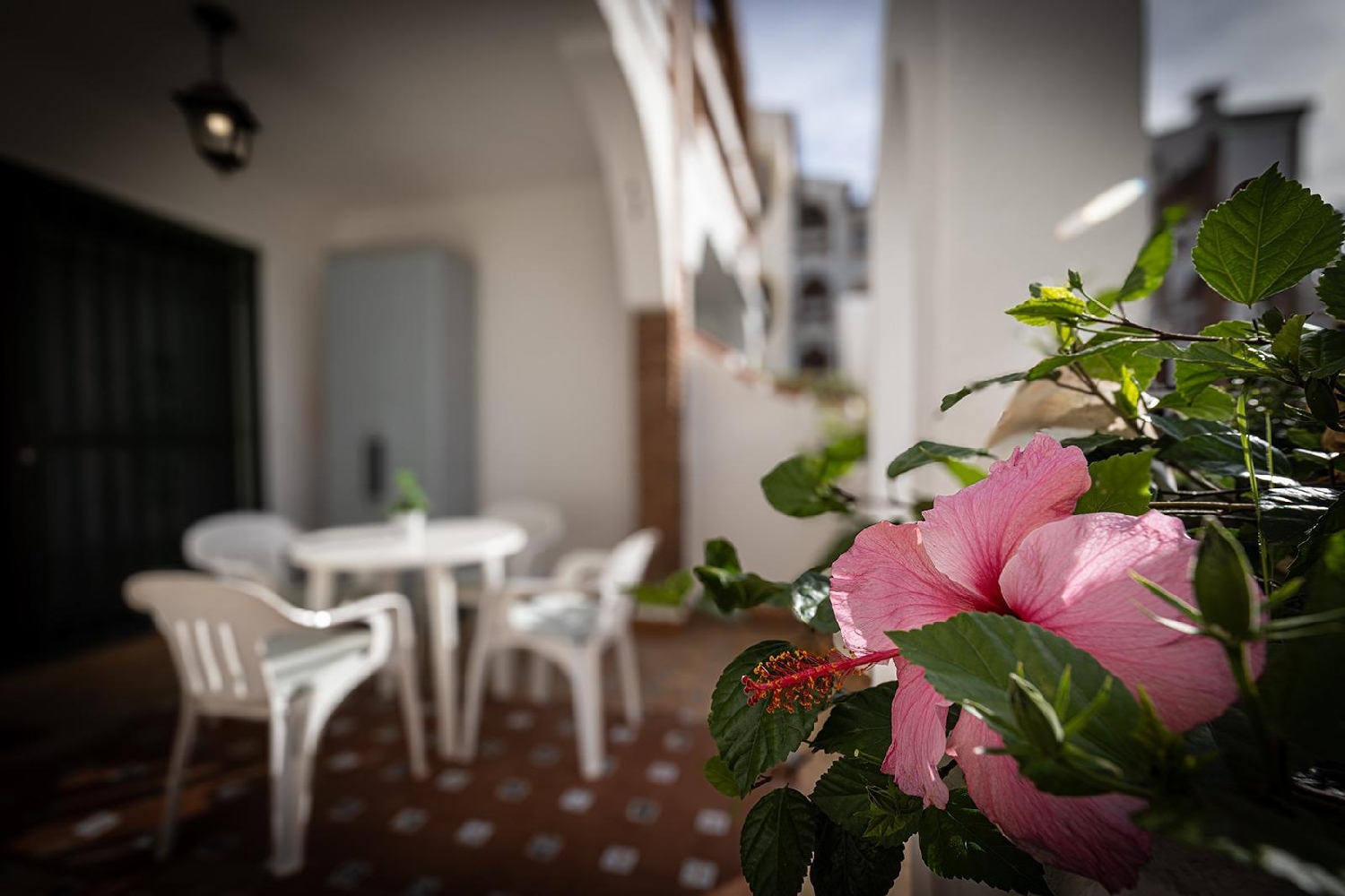  kaufen Erdgeschoss Mijas Costa Del Sol Occidental 8