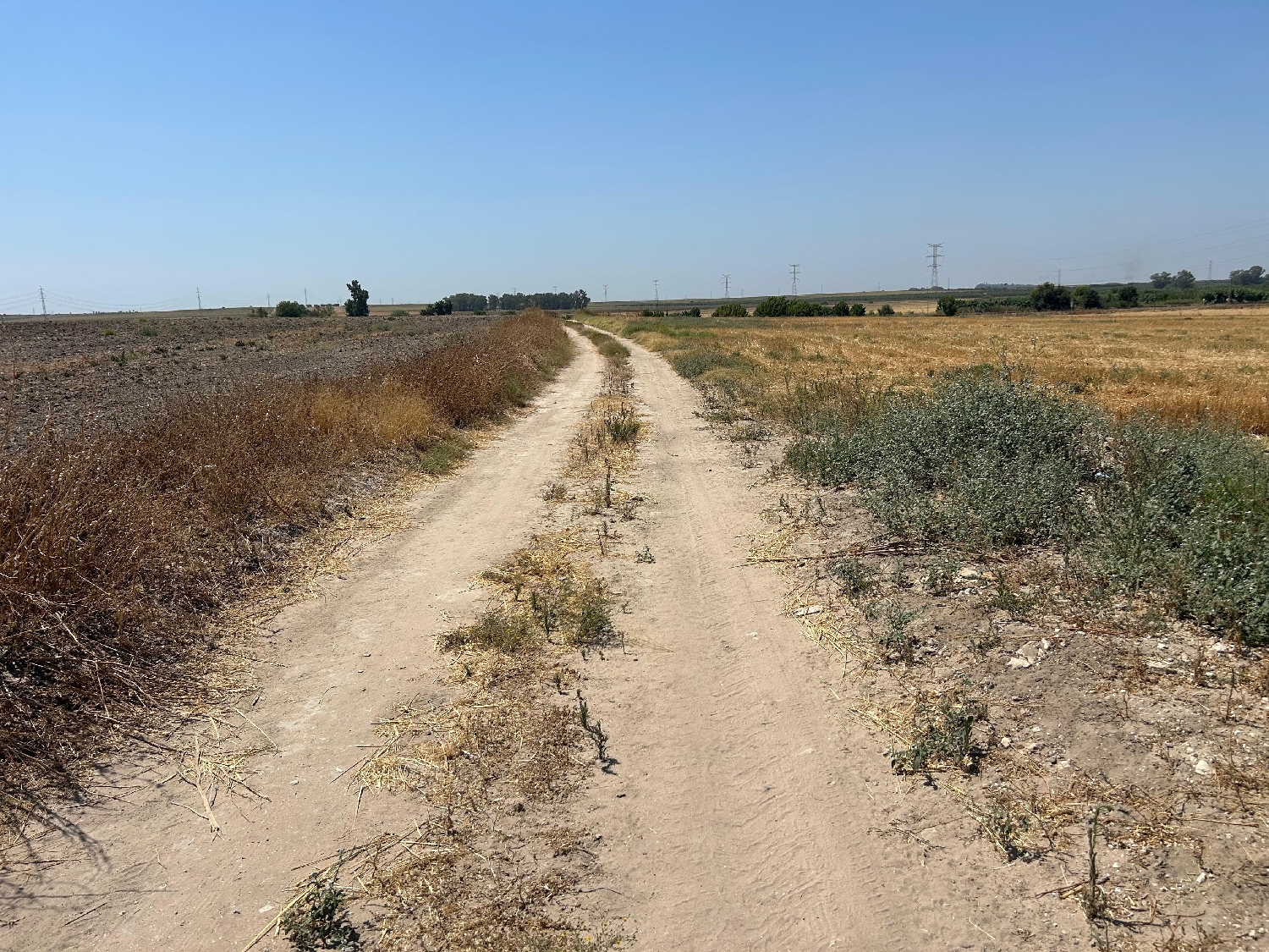  en venta terreno Utrera Bajo Guadalquivir 2