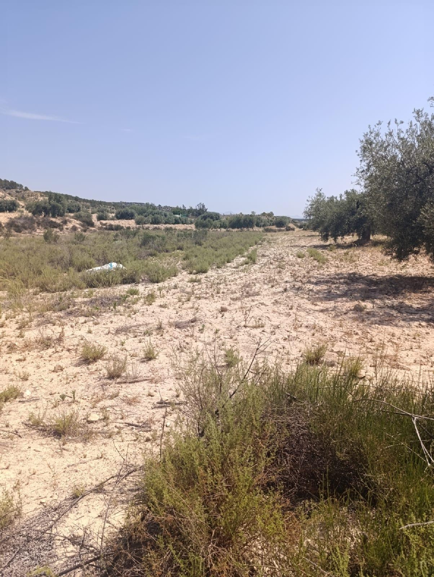 kaufen Haus Albudeite Río Mula 2