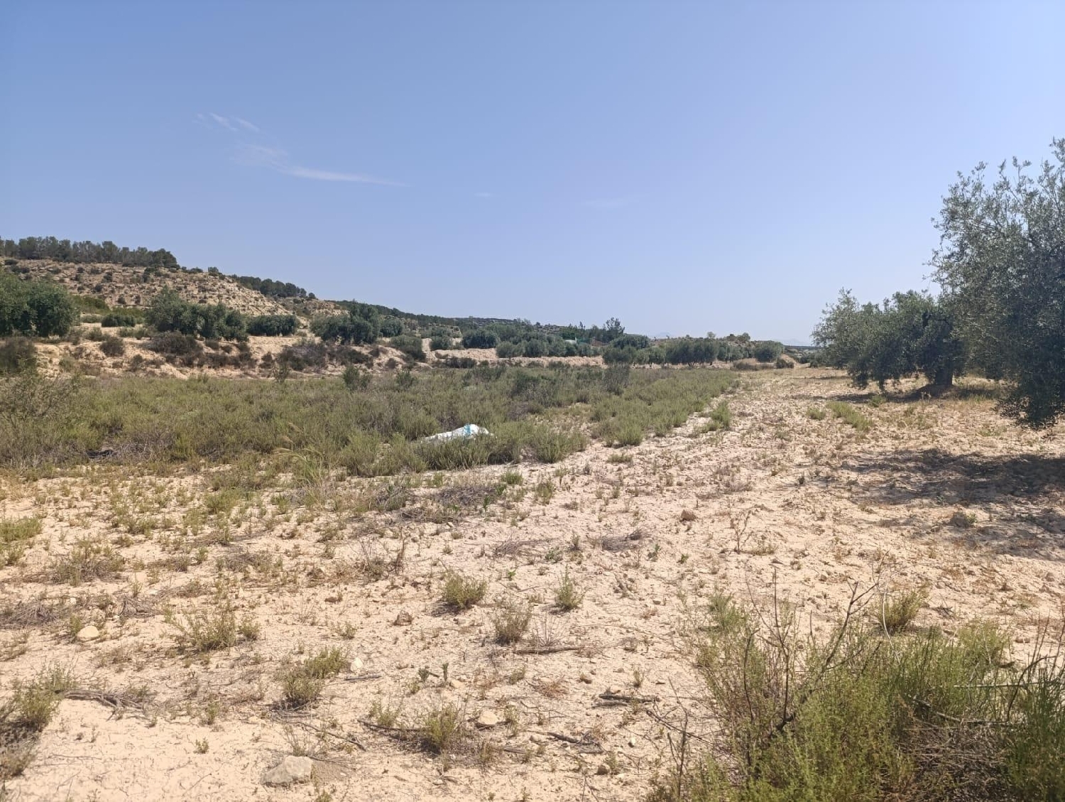  kaufen Haus Albudeite Río Mula 1