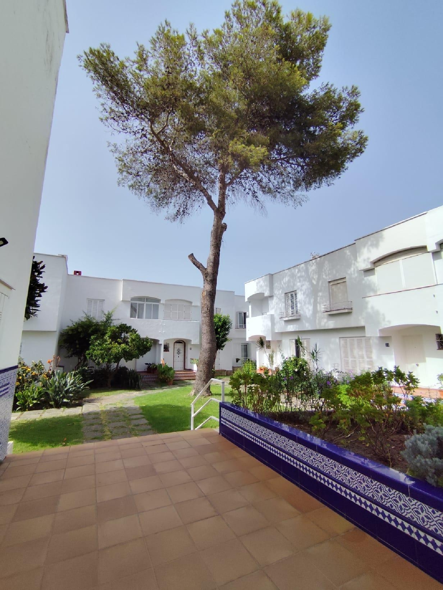  kaufen Haus Algeciras Casco Antiguo Campo De Gibraltar 5