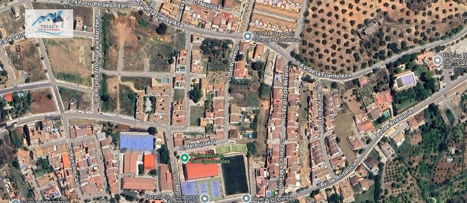  kaufen Haus Algodonales Sierra De Cádiz 3