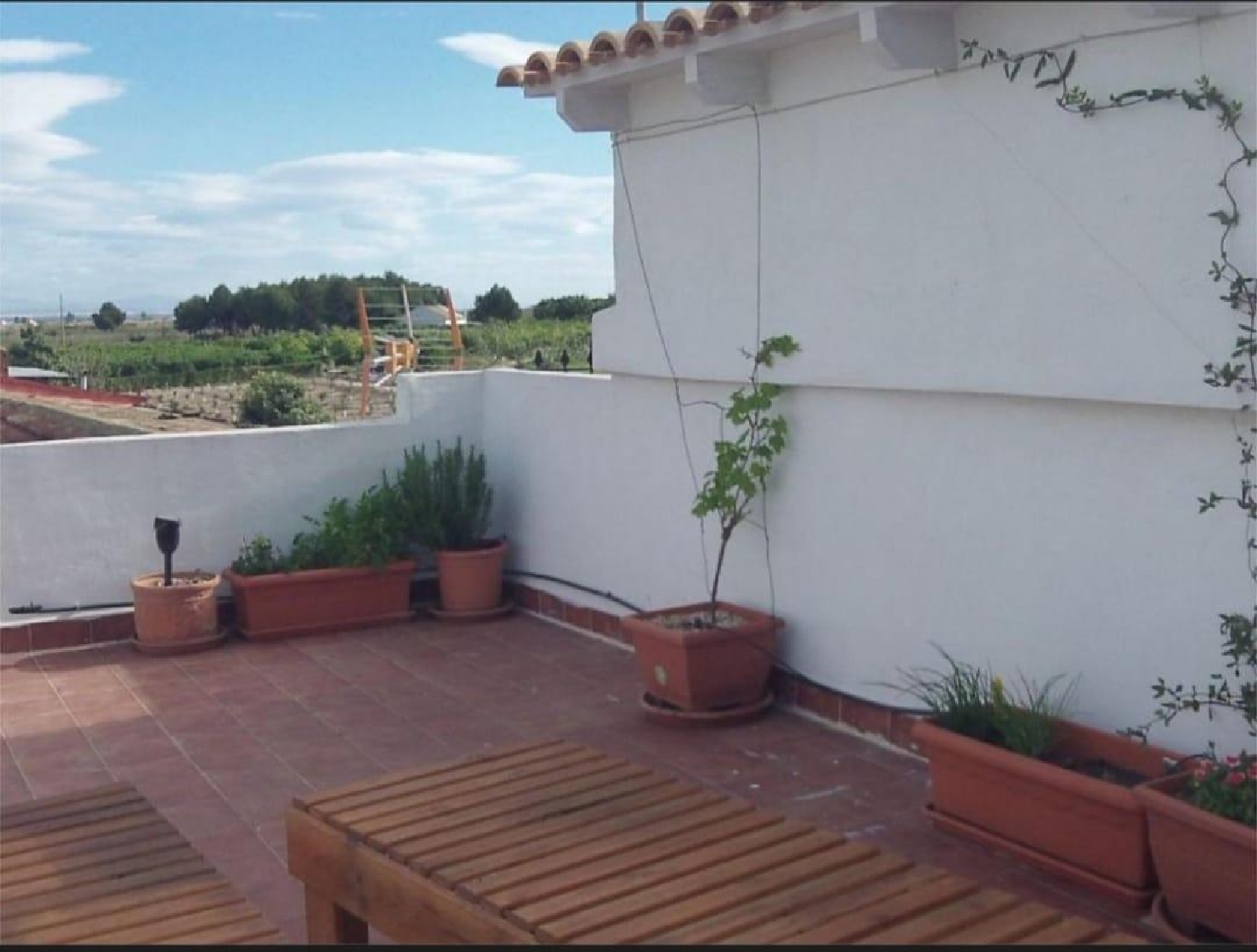 kaufen Haus Almoradí Baix Segura 3