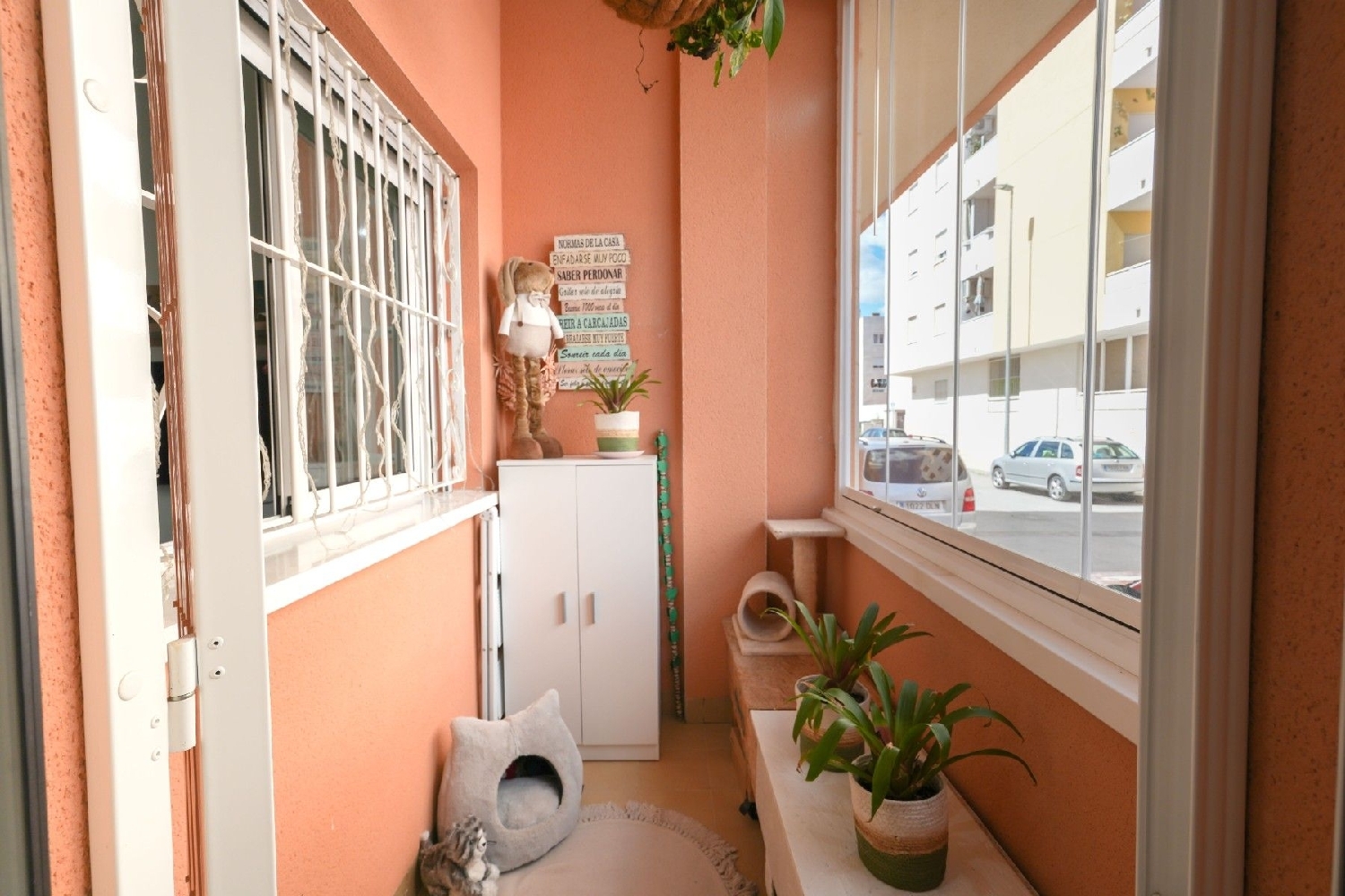 kaufen Haus Almoradí Baix Segura 2
