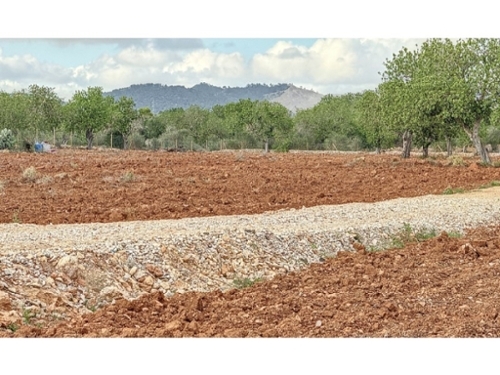 Campos Sud huis foto 6291803