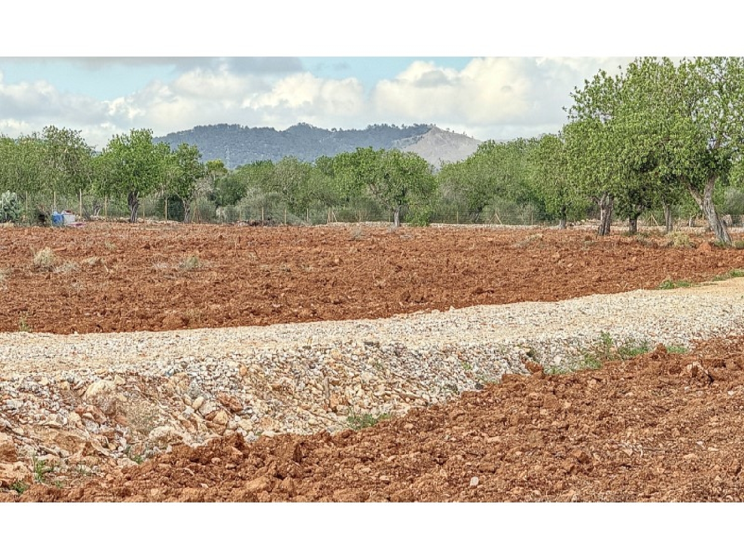 for sale house Campos Sud 3