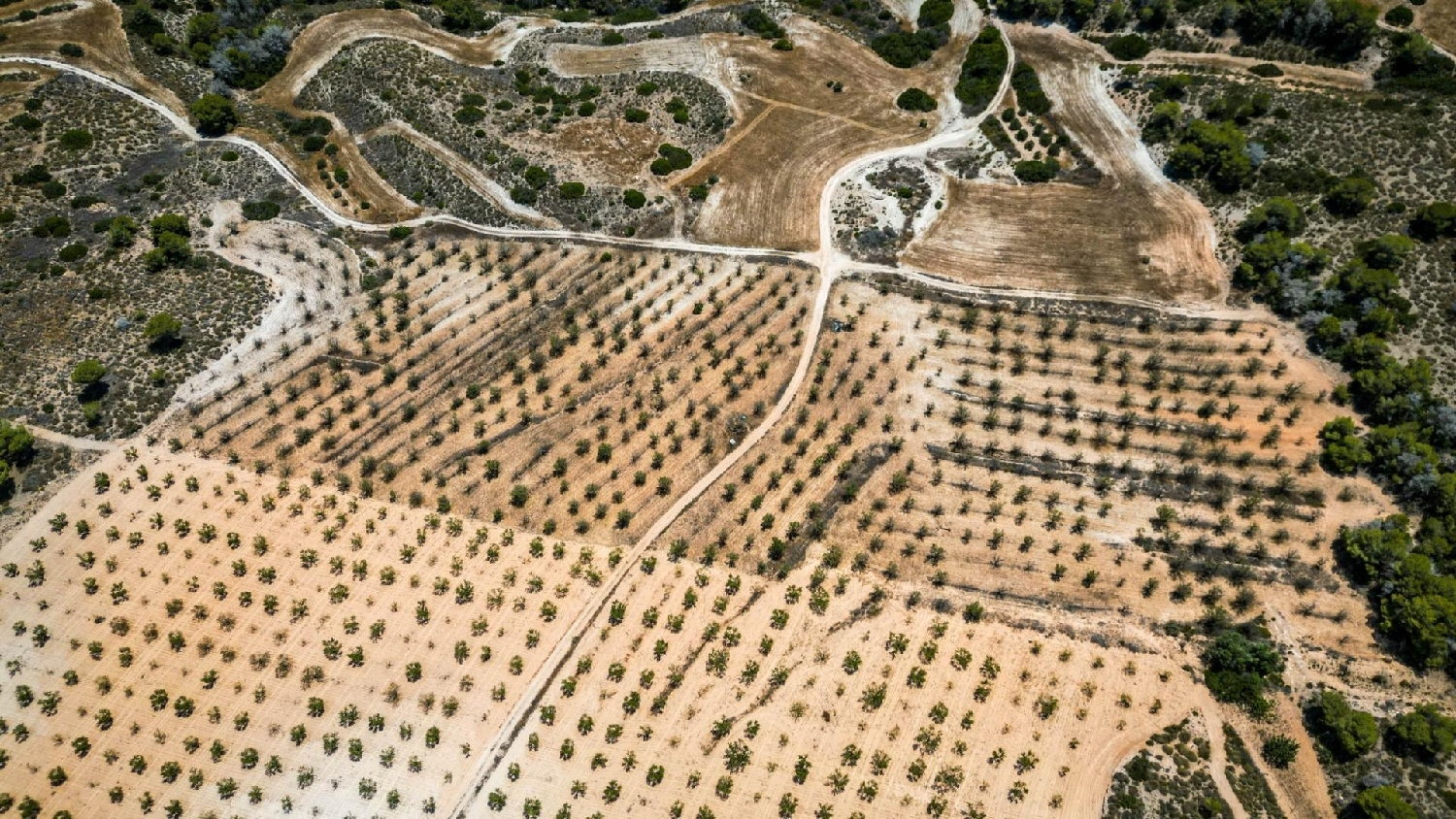  till salu hus Castrillo De Murcia Odra-Pisuerga 5