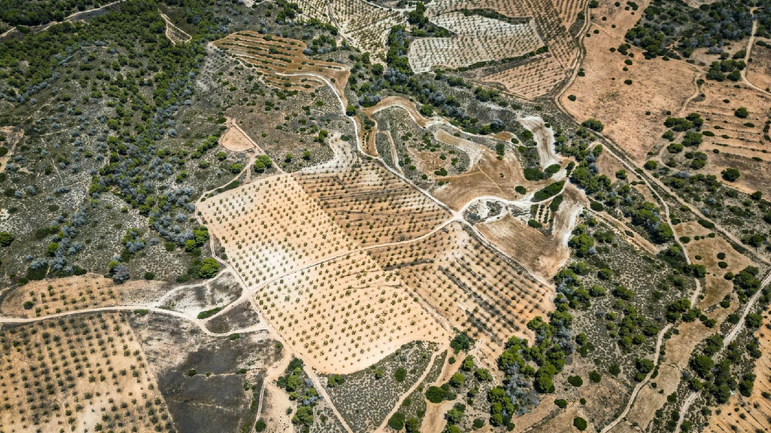 till salu hus Castrillo De Murcia Odra-Pisuerga 3