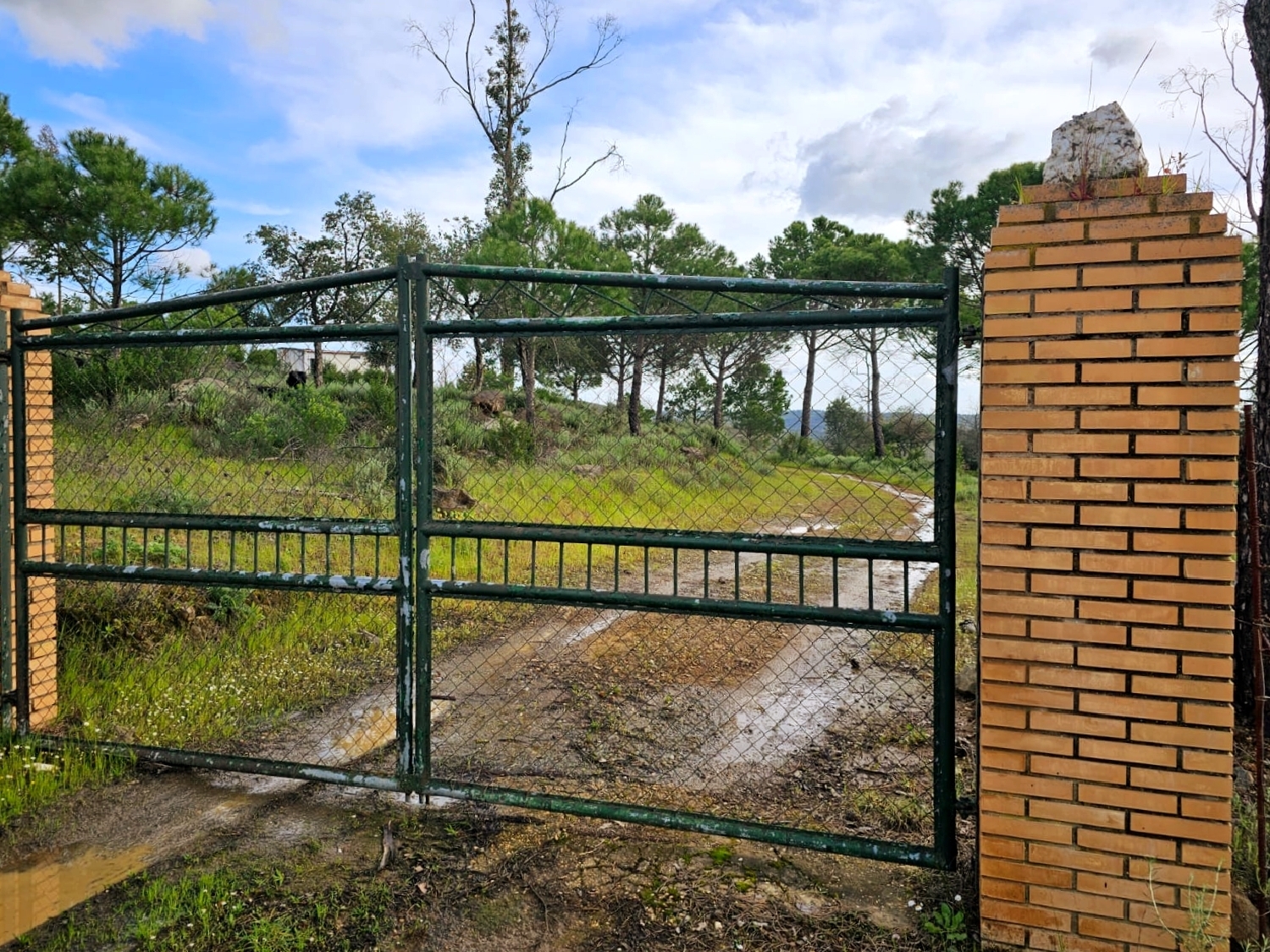  en venta casa El Campillo Cuenca Minera 3