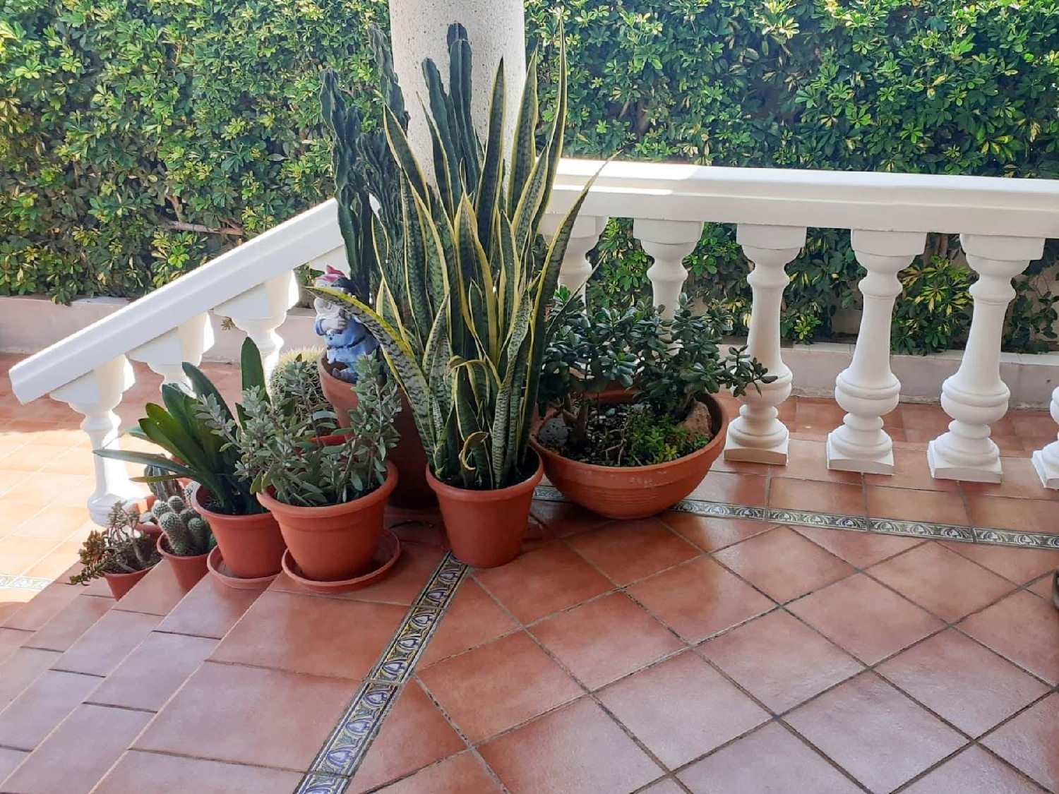  en venta casa Gandía 46701 Safor 5