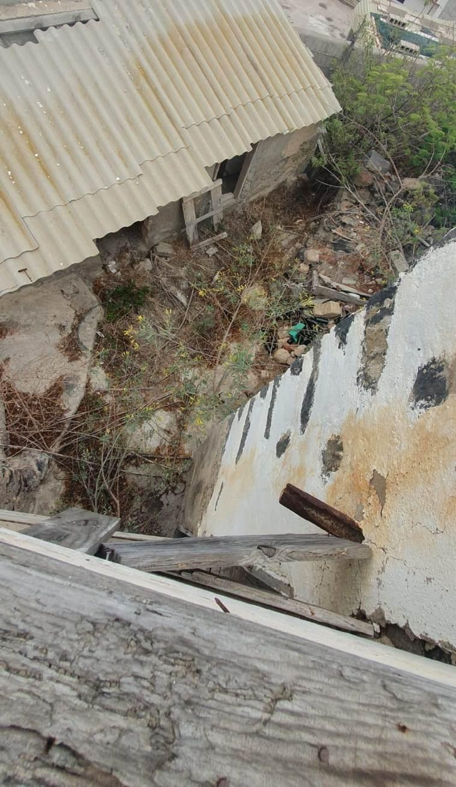  à vendre maison Guía De Isora Zona Suroeste 4