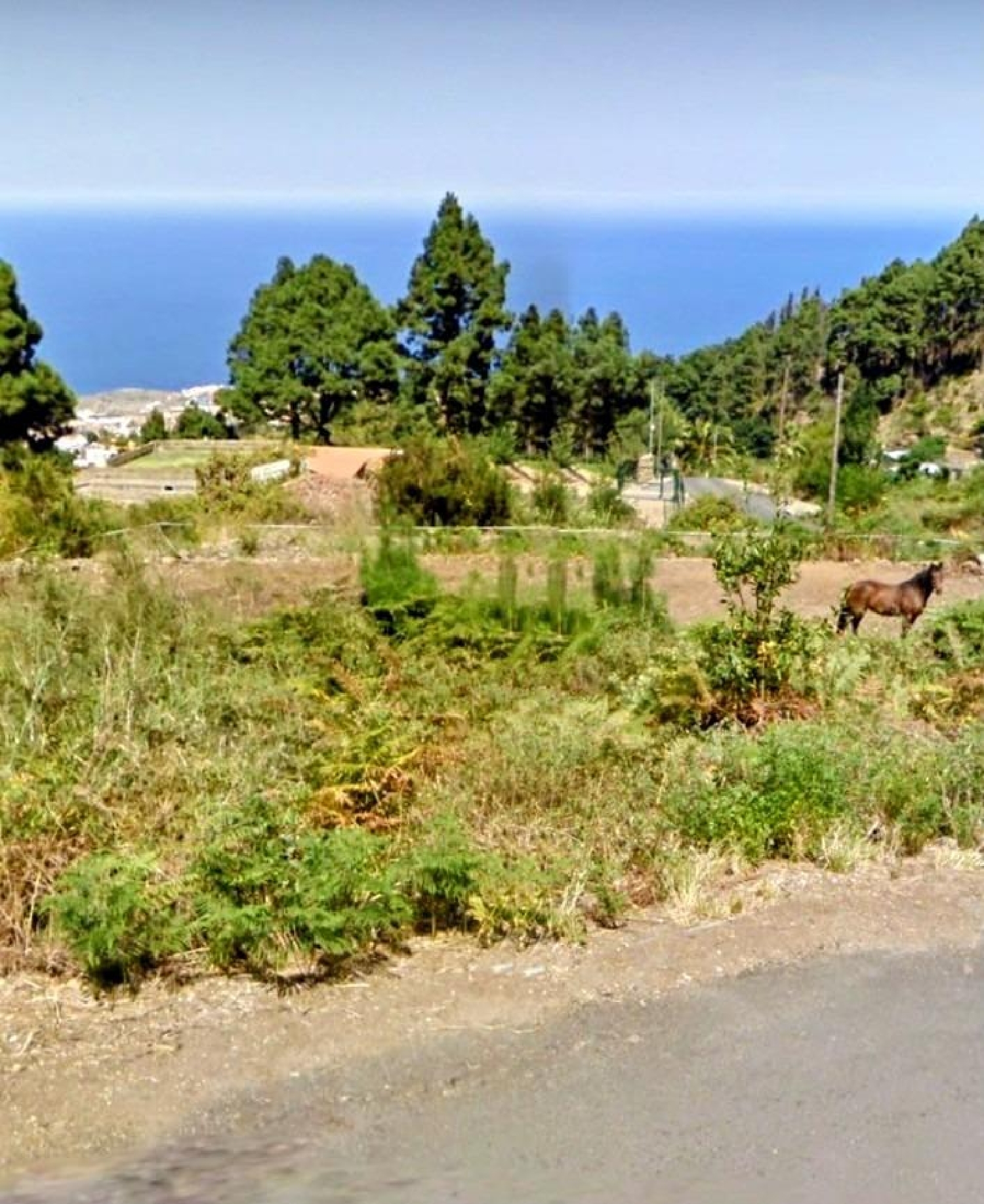 till salu hus Icod De Los Vinos Zona Norte 6