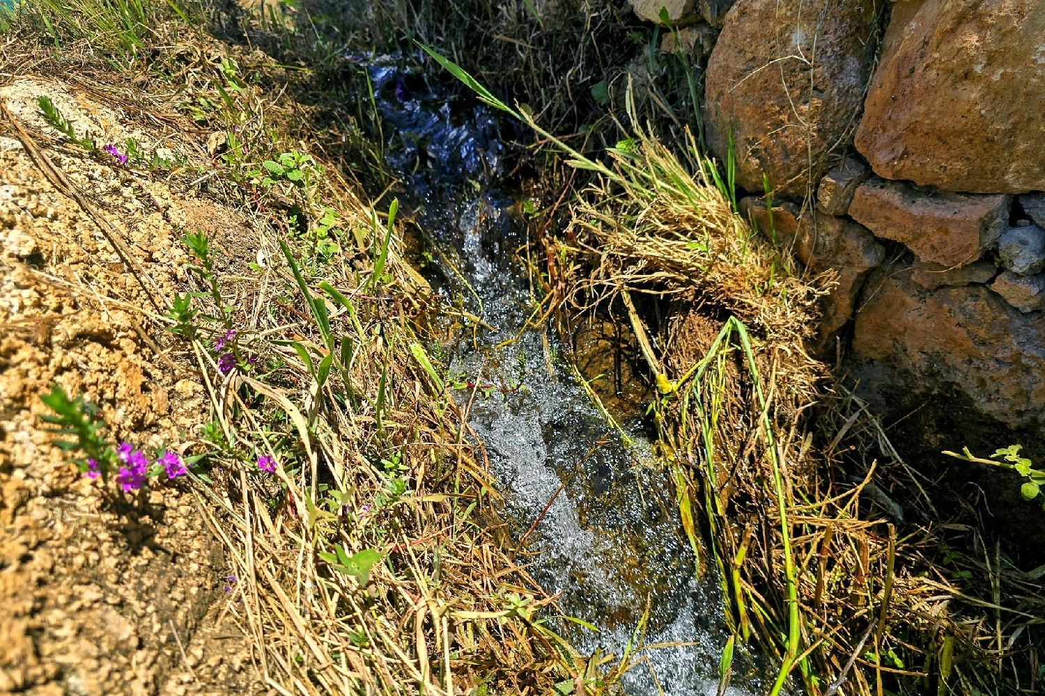  te koop huis Lanjarón Alpujarra Granadina 8