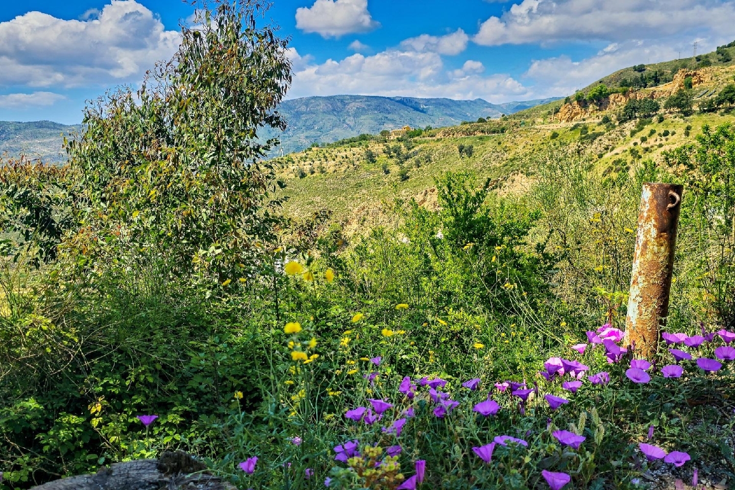  te koop huis Lanjarón Alpujarra Granadina 5