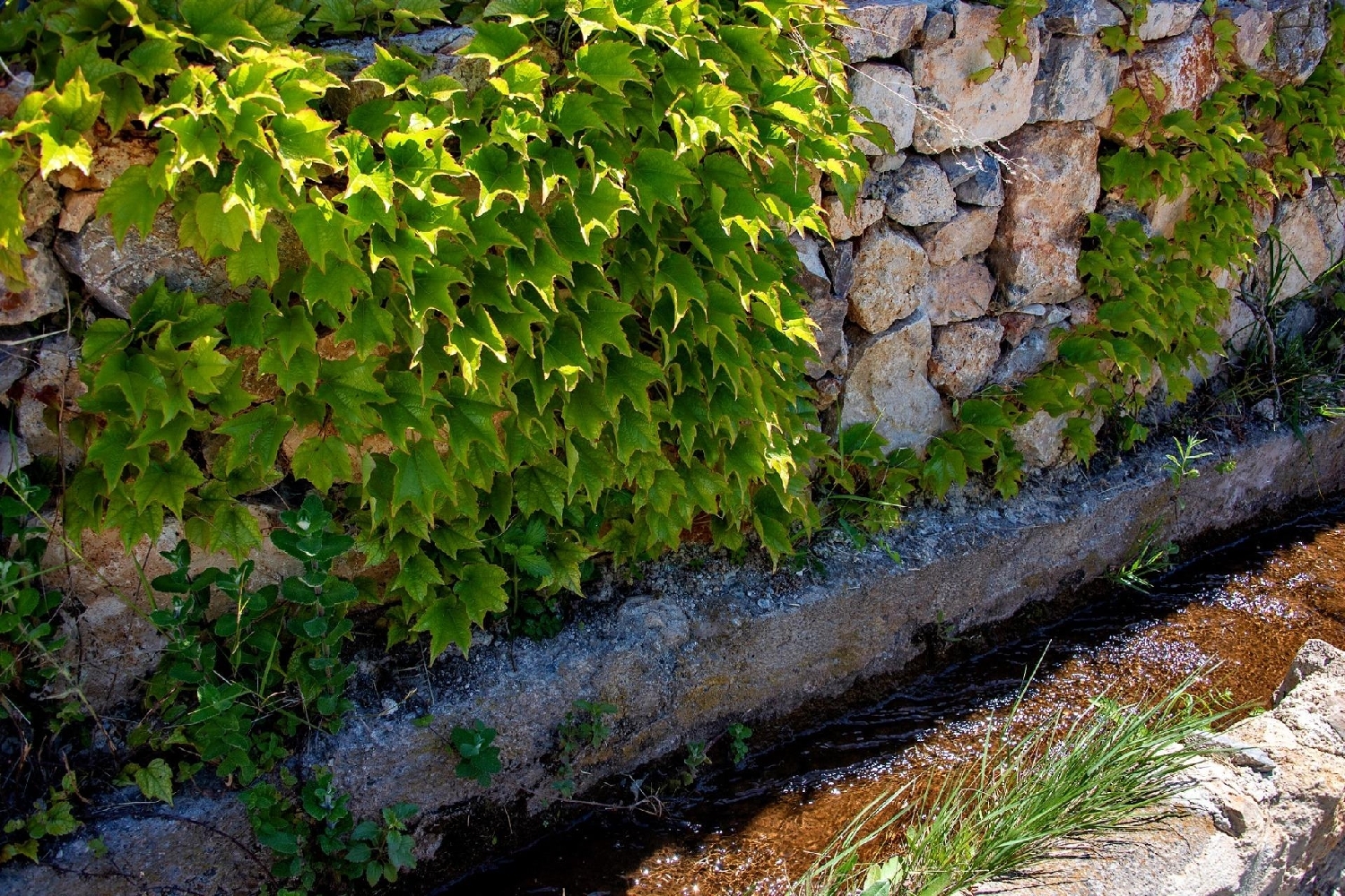  te koop huis Lanjarón Alpujarra Granadina 7