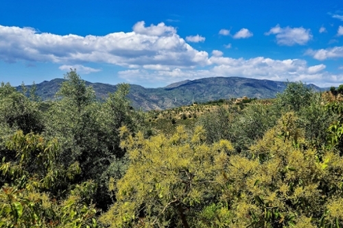 Lanjarón Alpujarra Granadina hus foto 6292363