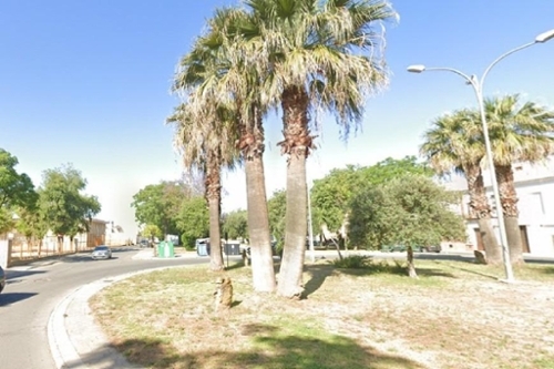 Los Palacios Y Villafranca Bajo Guadalquivir maison foto 6291918