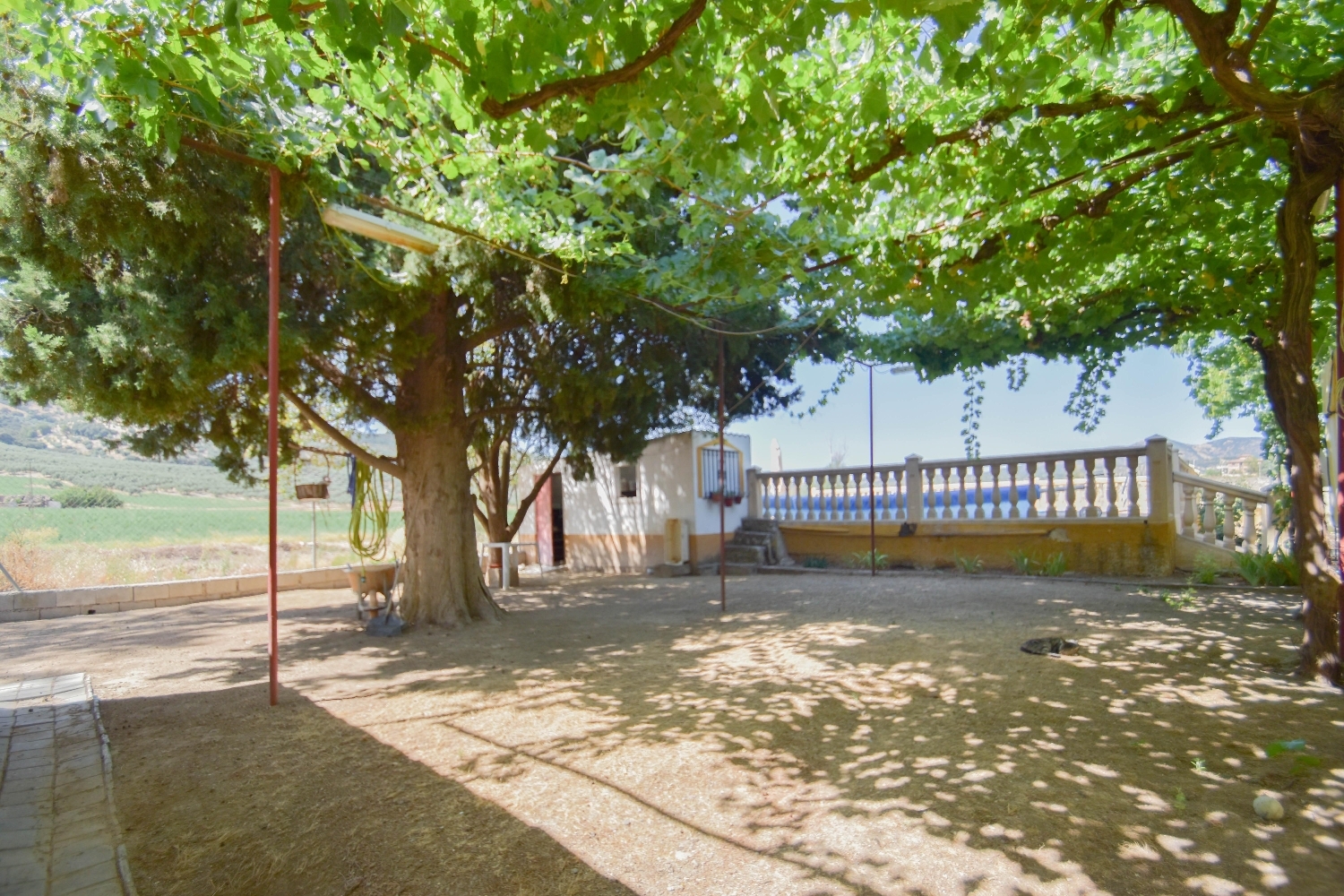  for sale house Montefrio Loja 6