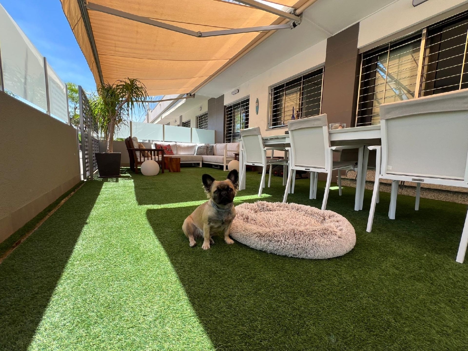  en venta casa Pilar De La Horadada Baix Segura 5