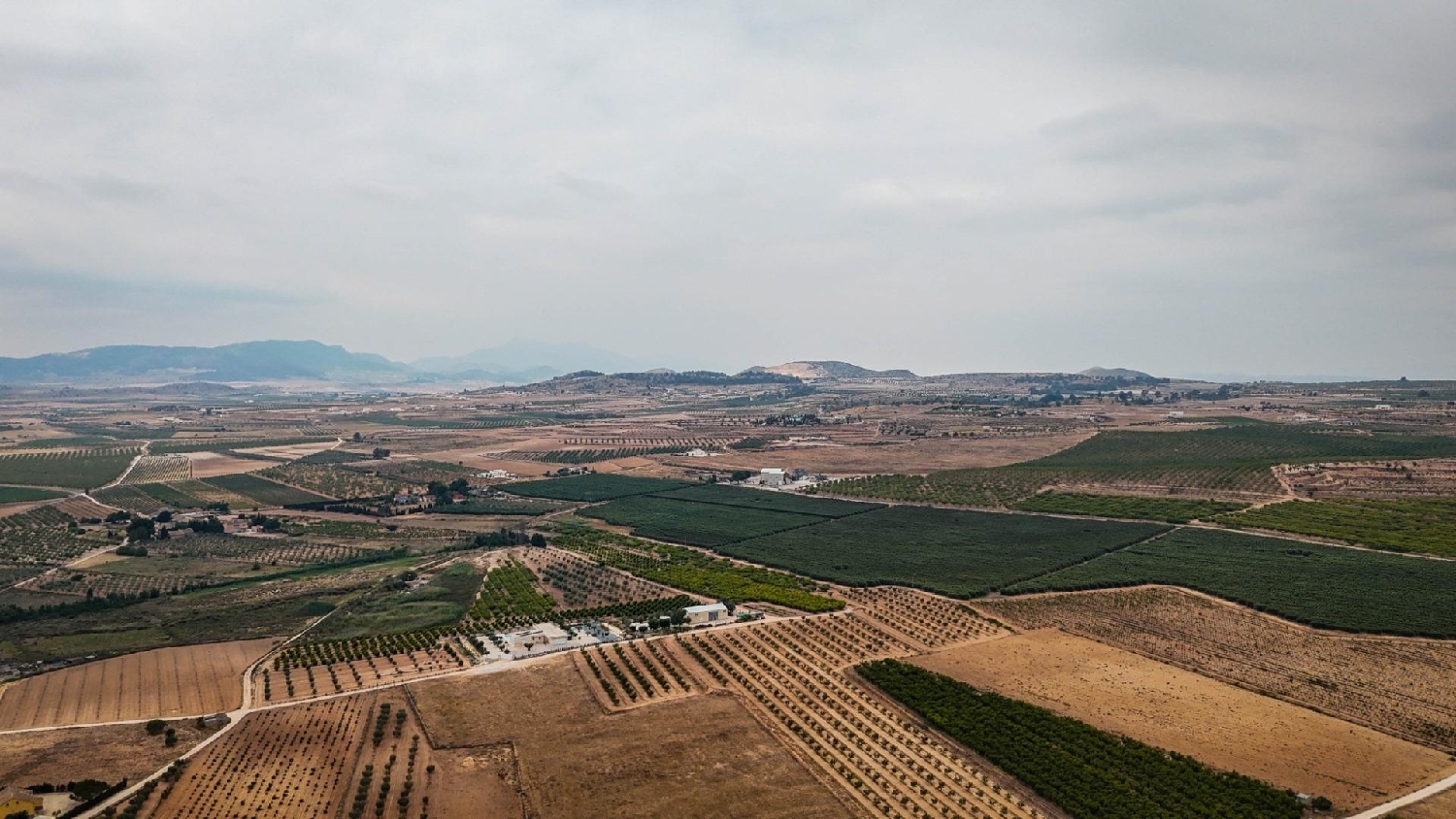  en venta casa Pinoso Vinalopó Mitjà 7