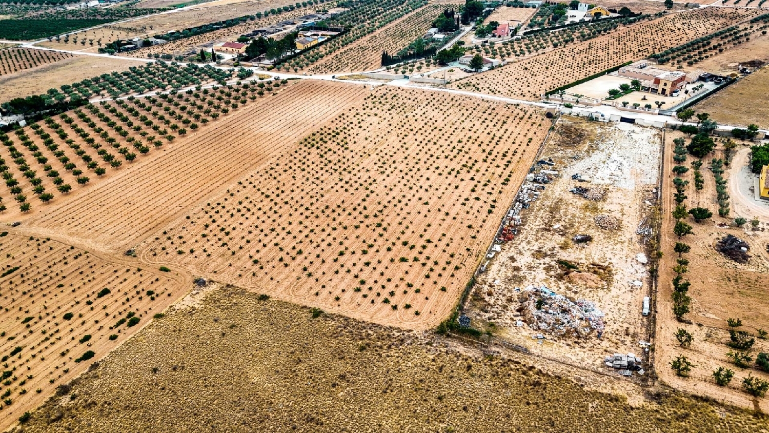  en venta casa Pinoso Vinalopó Mitjà 5