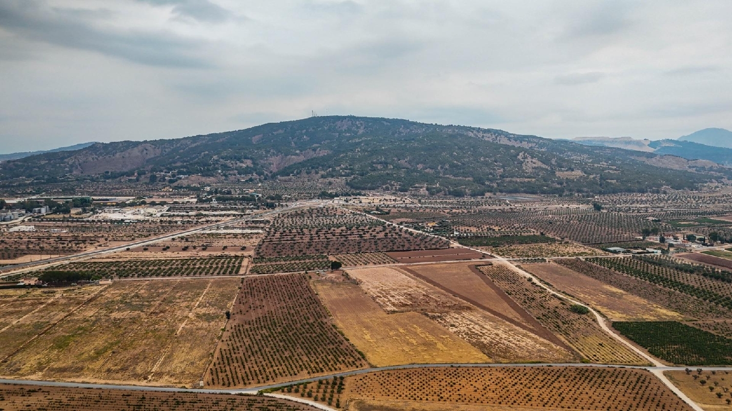  en venta casa Pinoso Vinalopó Mitjà 8
