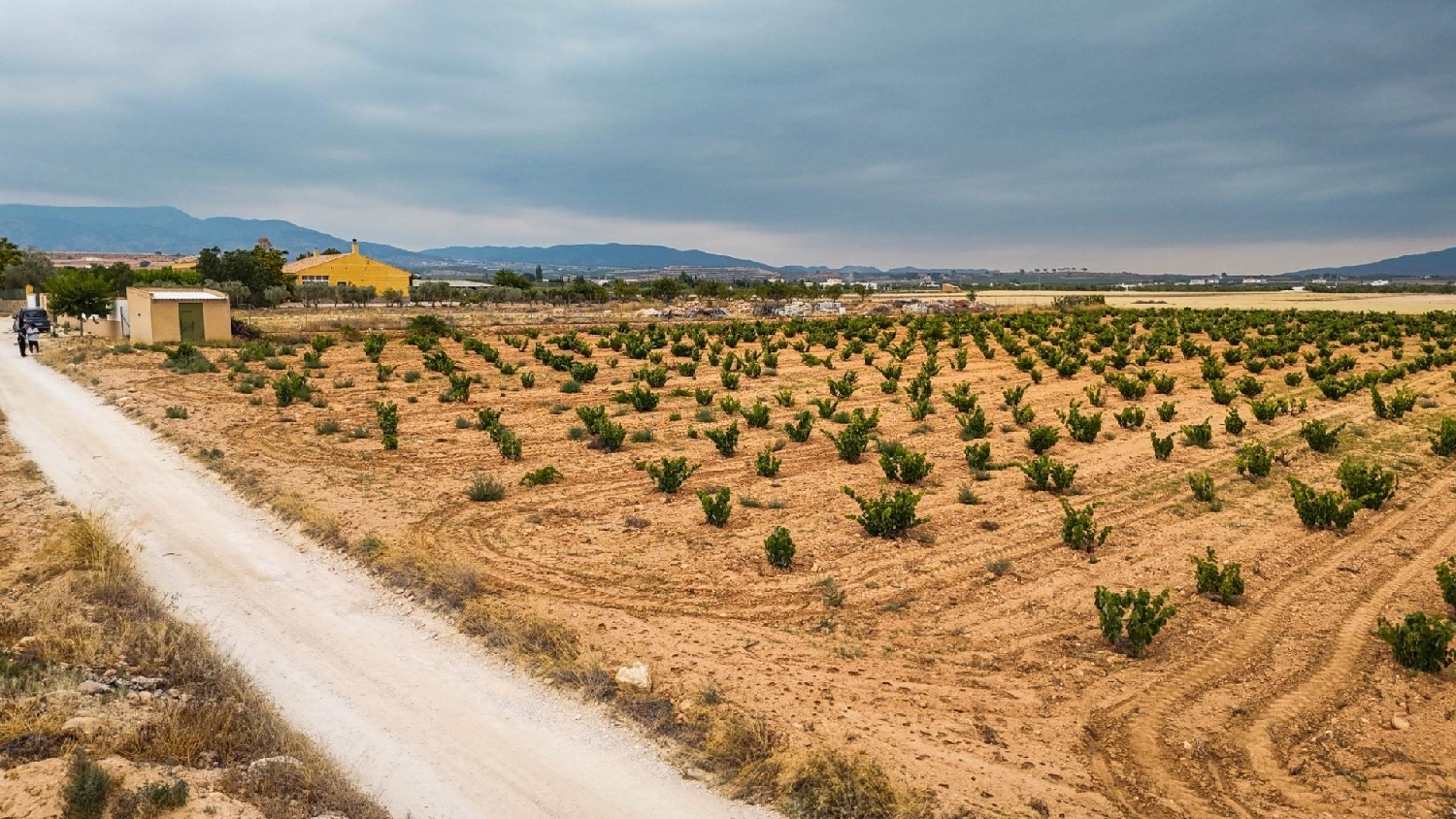 till salu hus Pinoso Vinalopó Mitjà 2