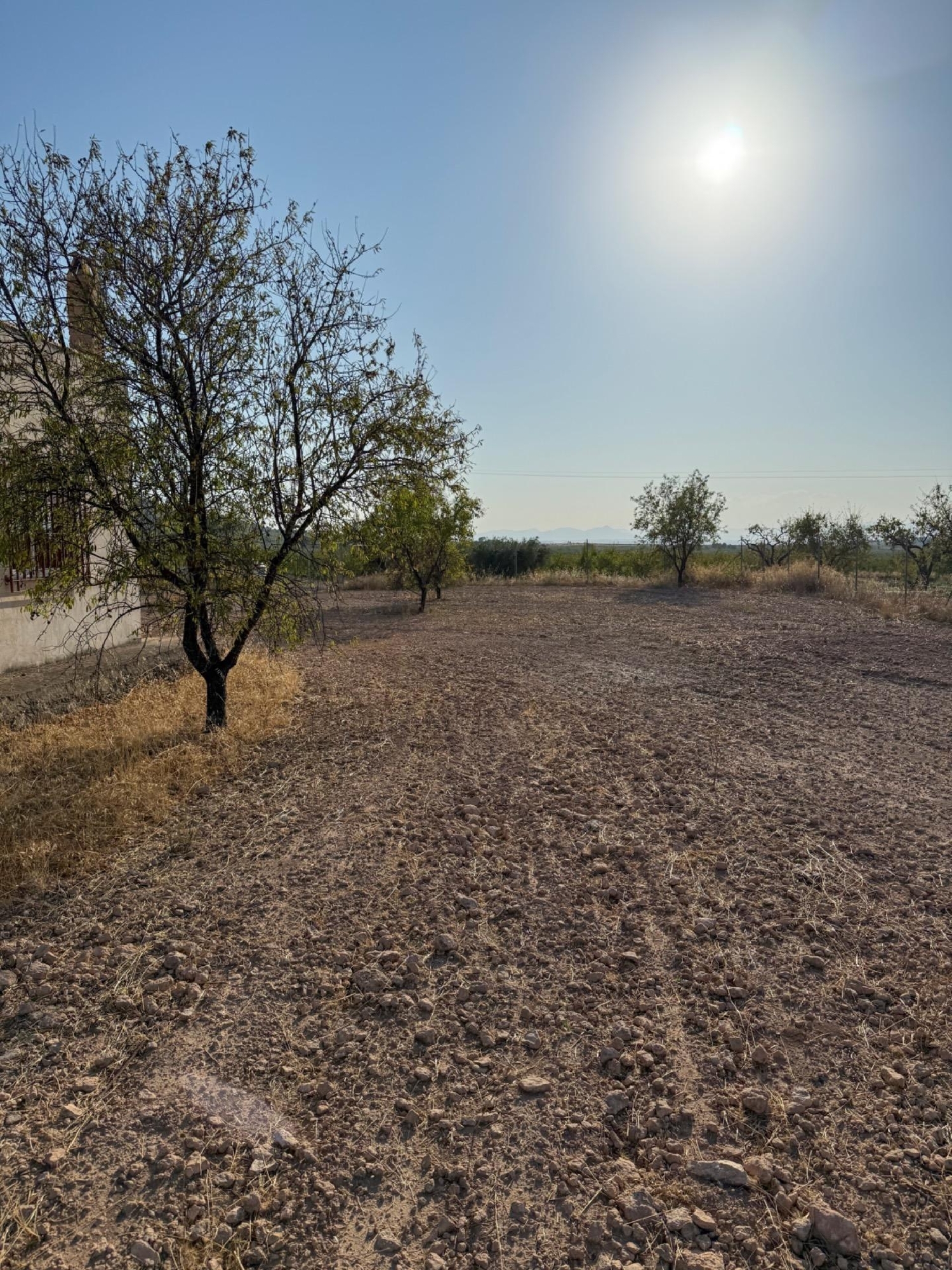  te koop huis Ricote Valle De Ricote 14