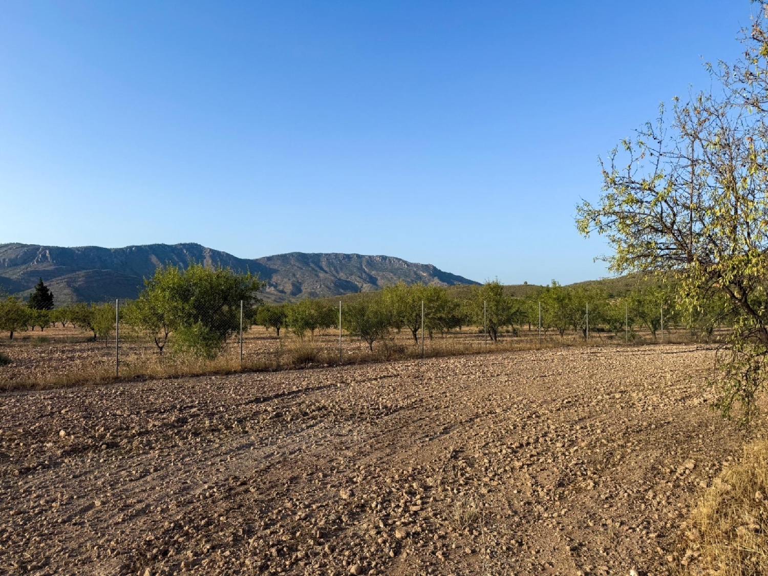  te koop huis Ricote Valle De Ricote 11