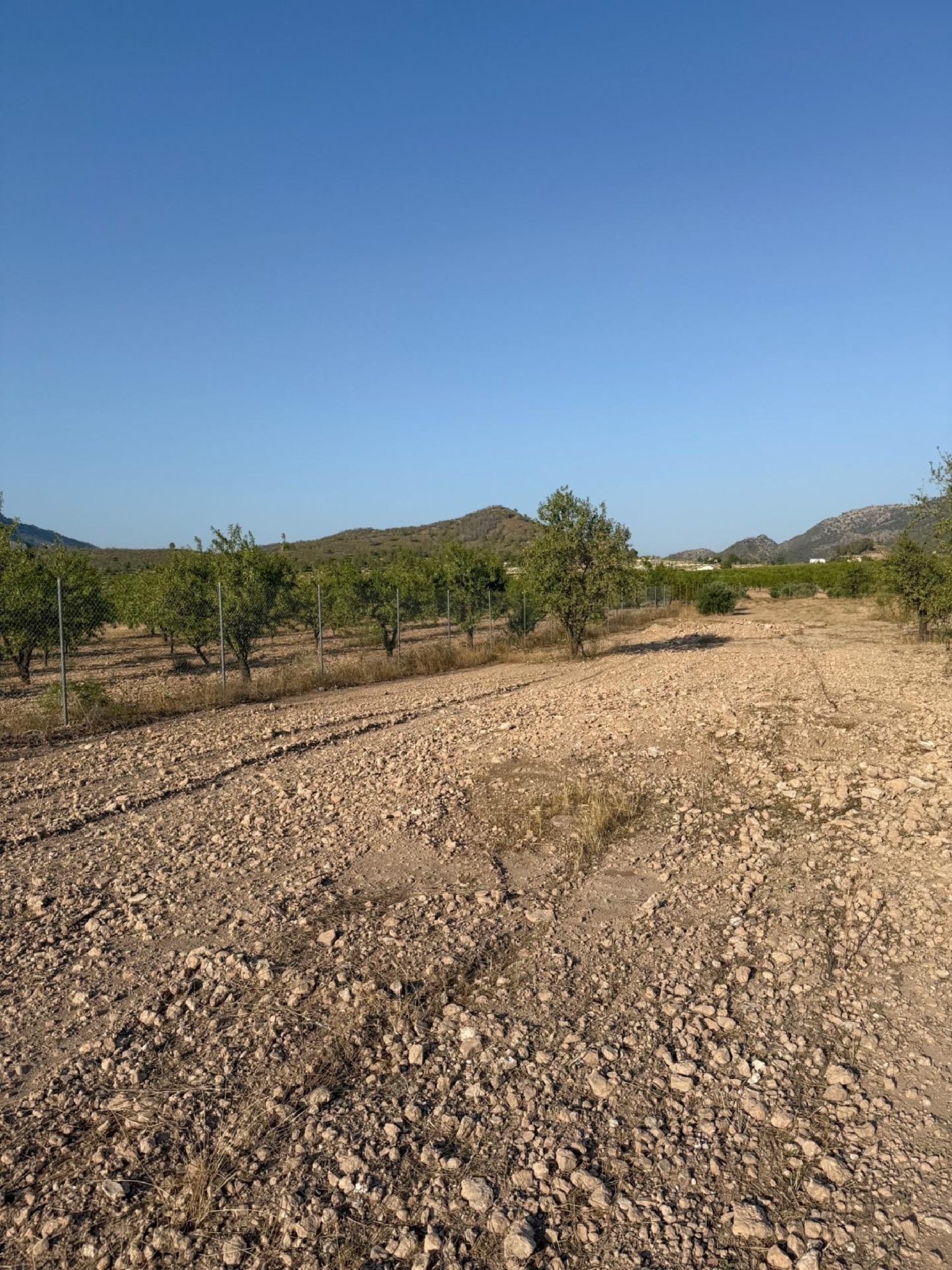  te koop huis Ricote Valle De Ricote 13