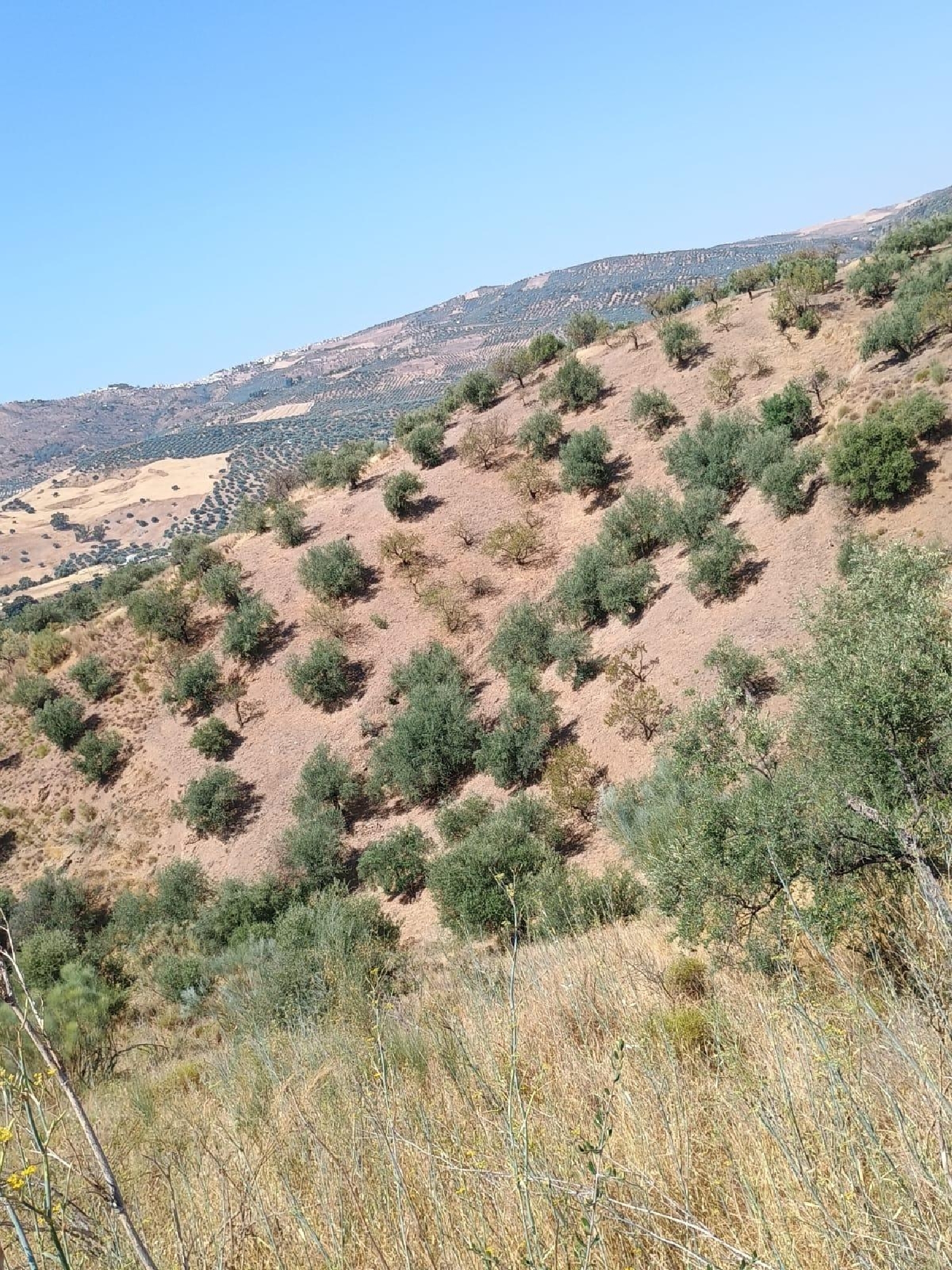  kaufen Haus Riogordo Axarquía 1