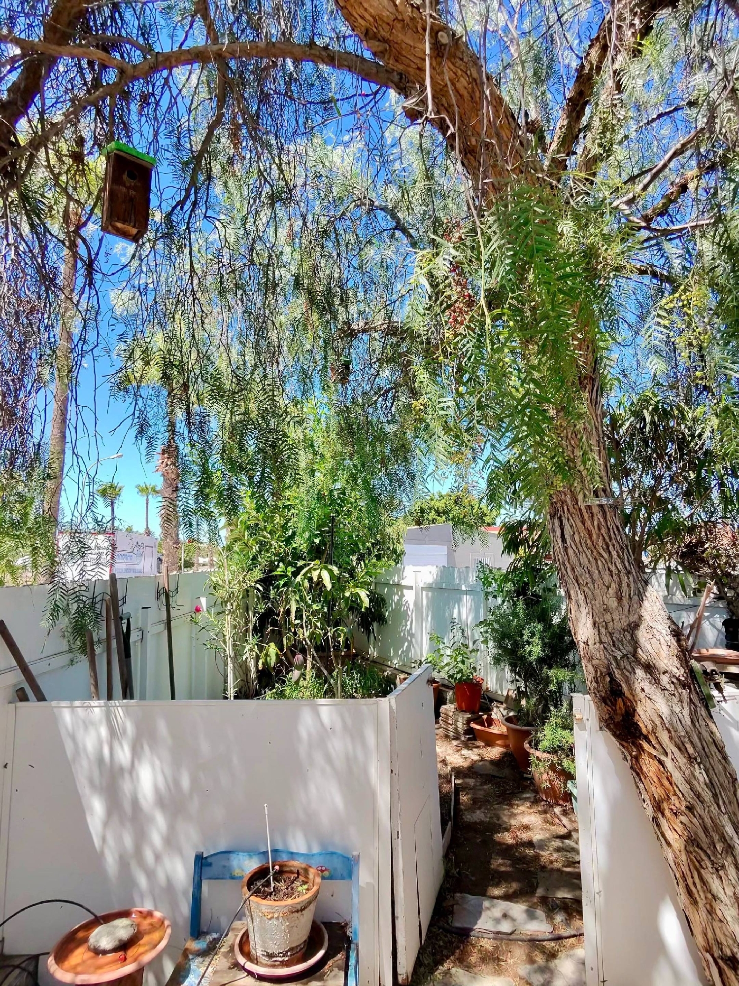  à vendre maison San Bartolomé De Tirajana Área Sur 5
