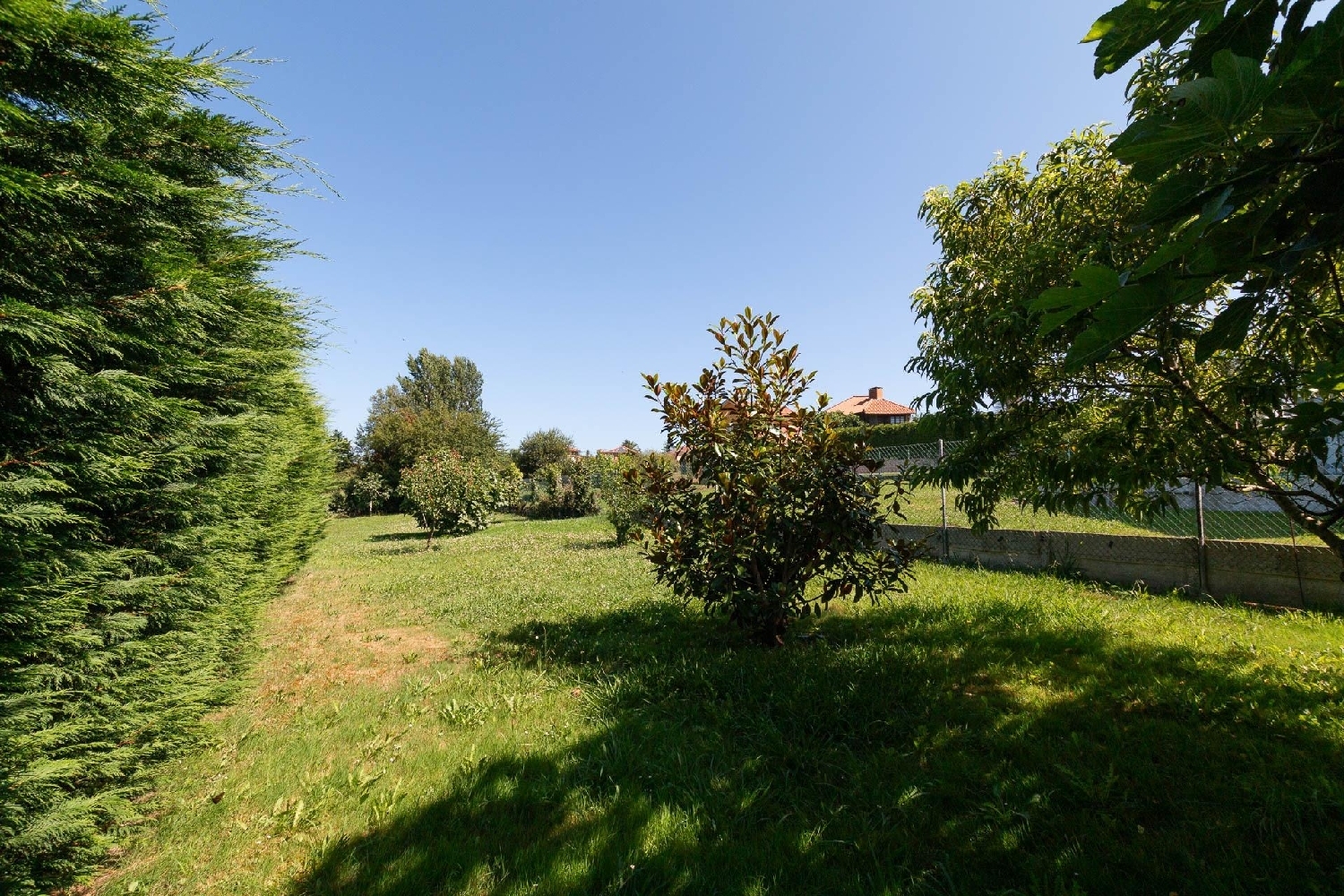  à vendre maison Suances Besaya 5