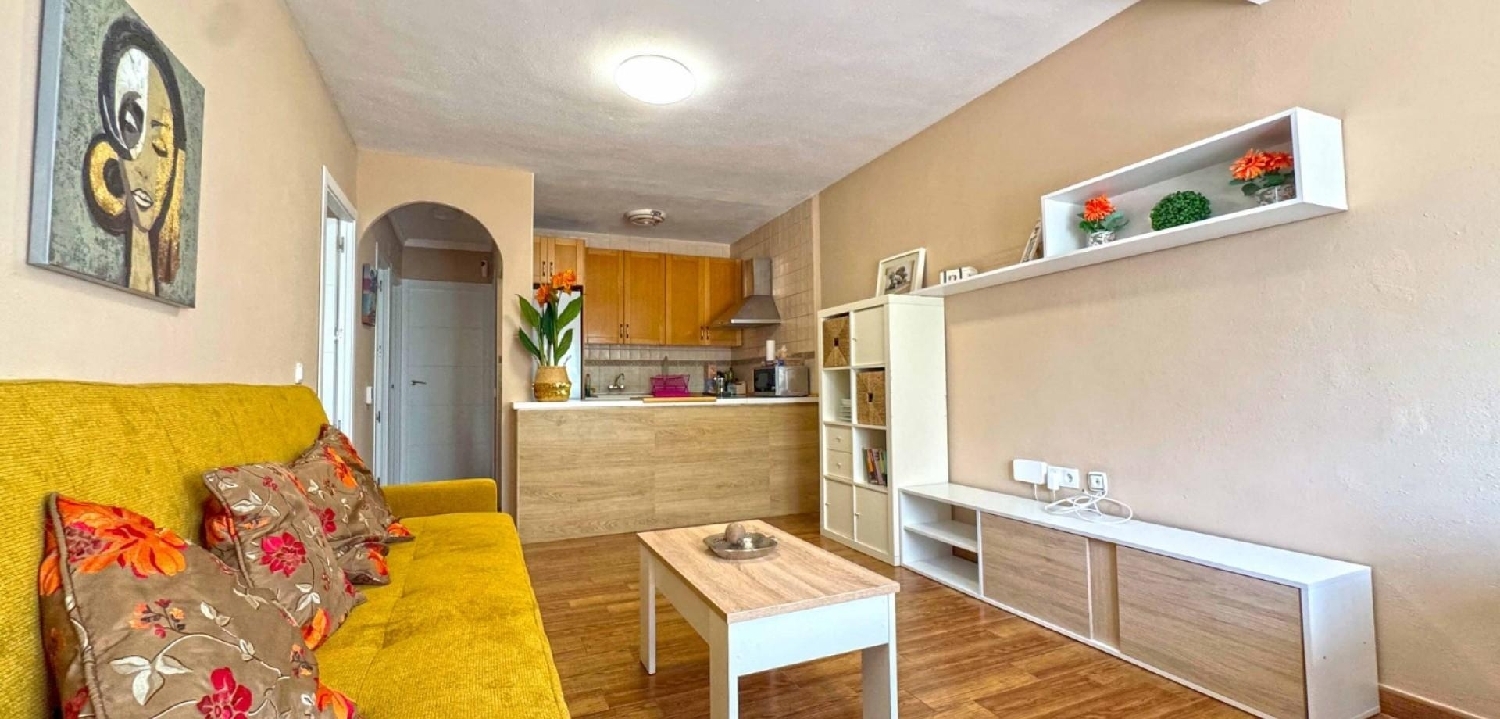  till salu hus Torrevieja Baix Segura 3