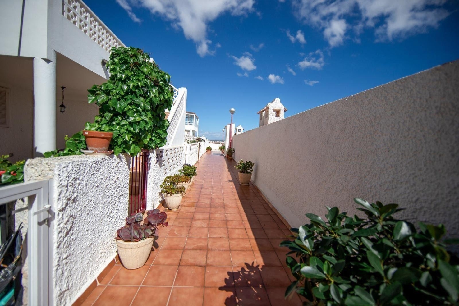  for sale house Torrevieja Baix Segura 3