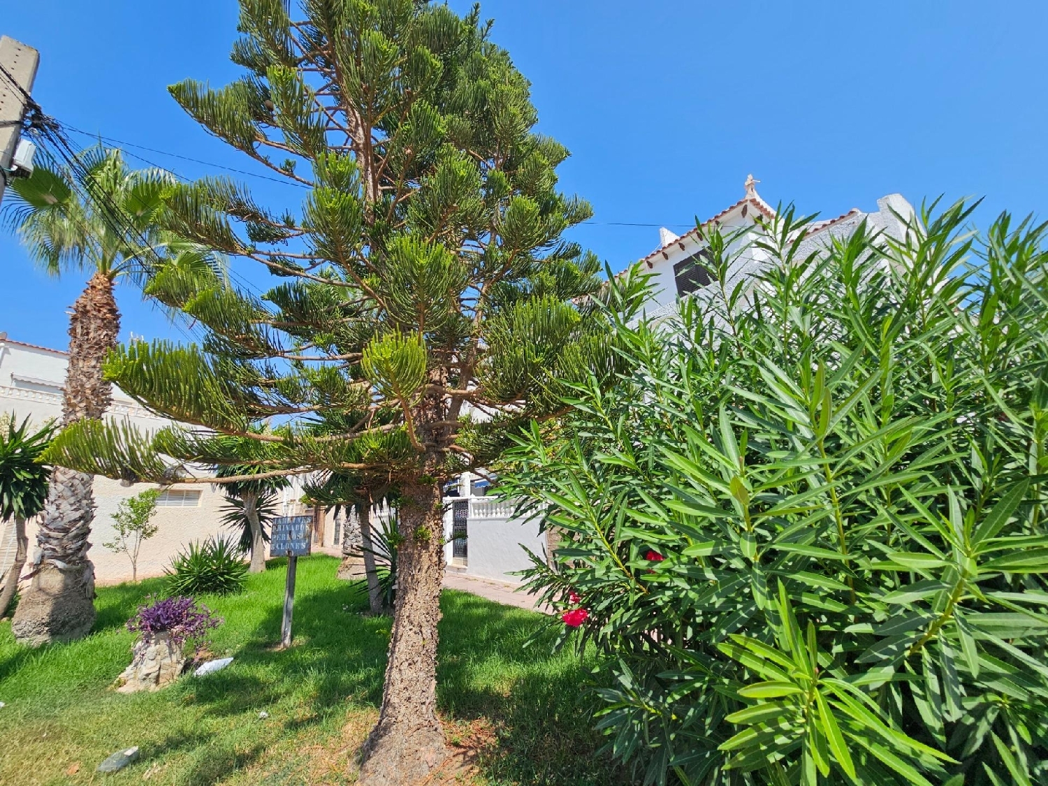 kaufen Haus Torrevieja Baix Segura 7