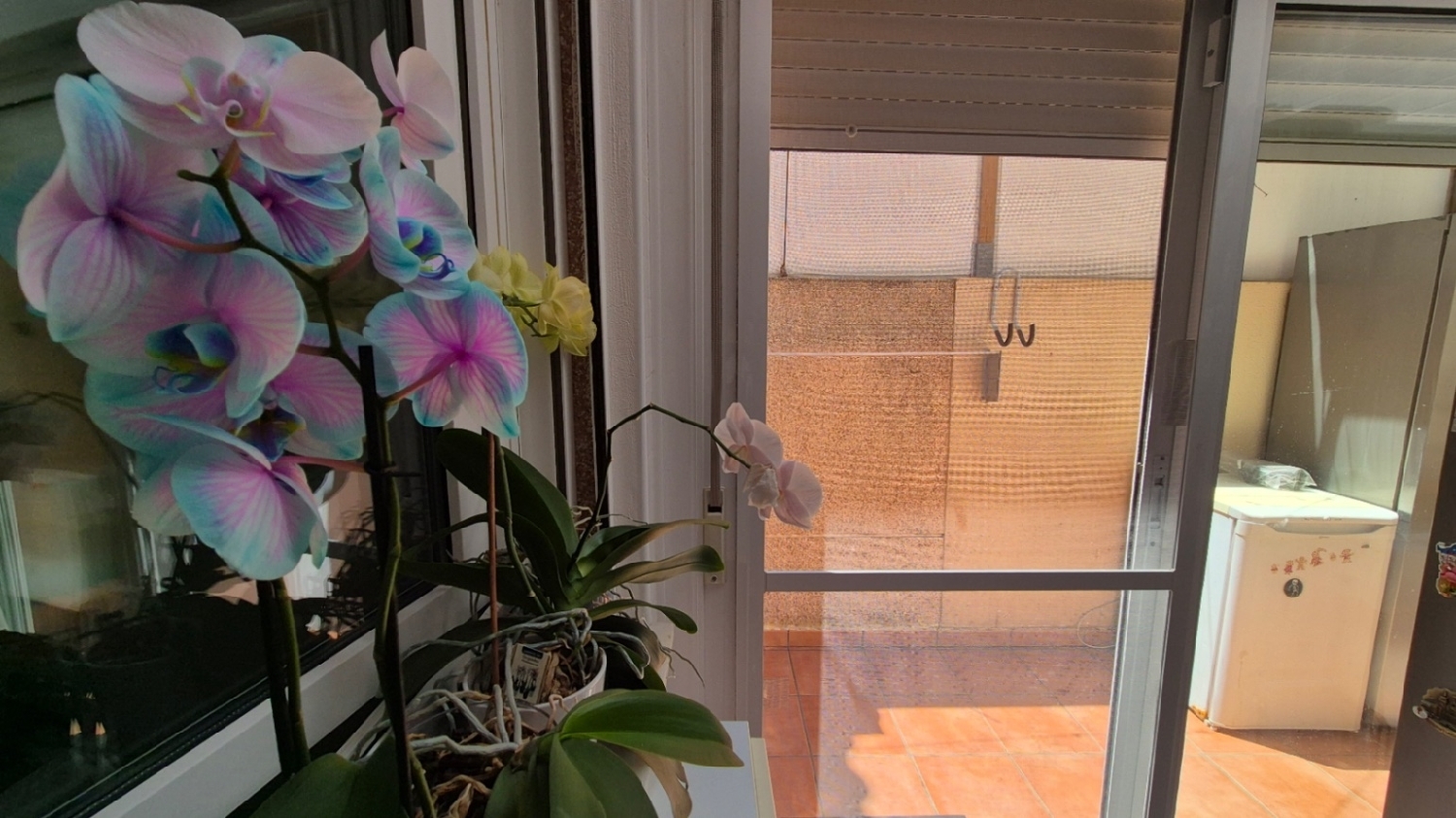  à vendre maison Torrevieja Baix Segura 8