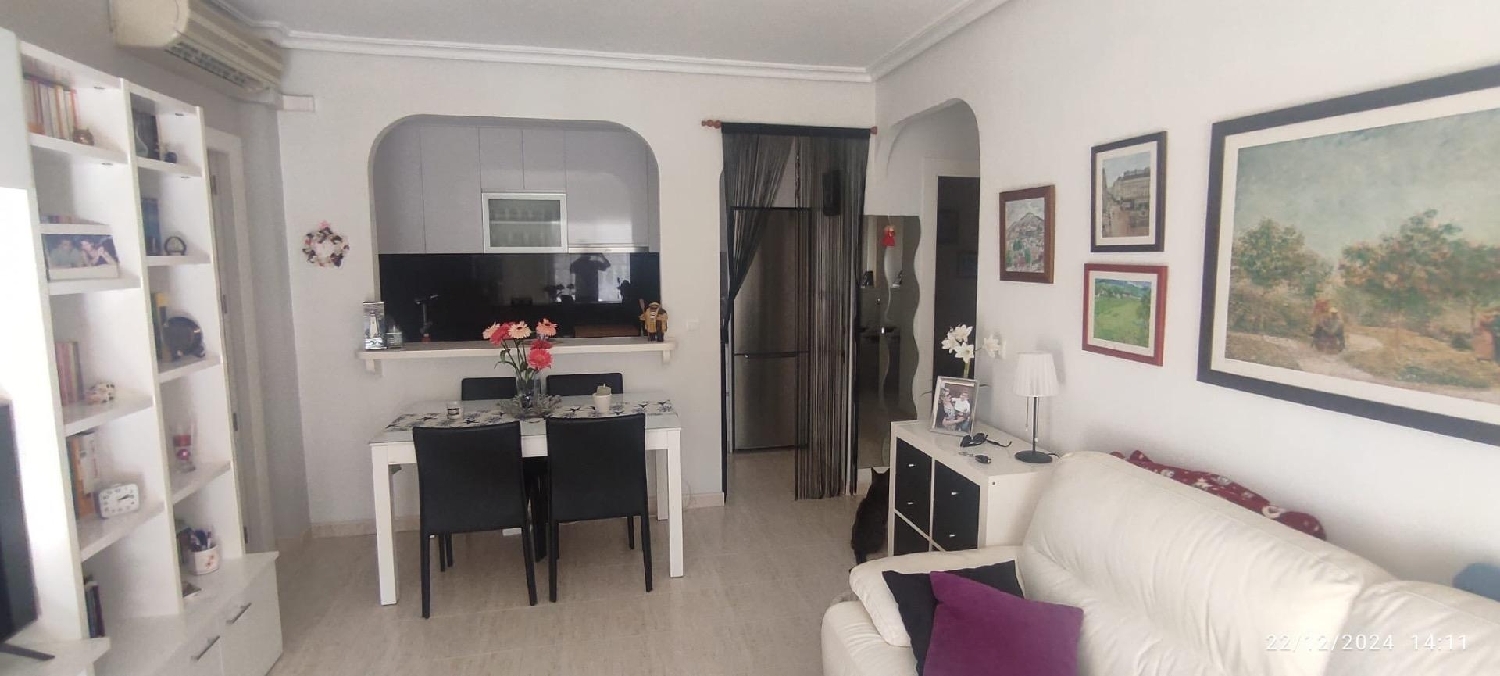  kaufen Haus Torrevieja Baix Segura 7