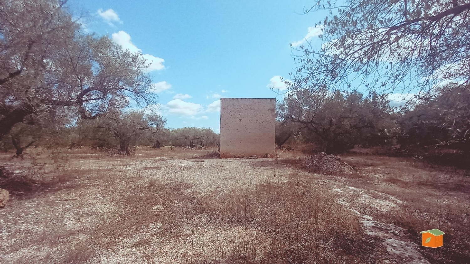  en venta casa Ulldecona Montsià 5